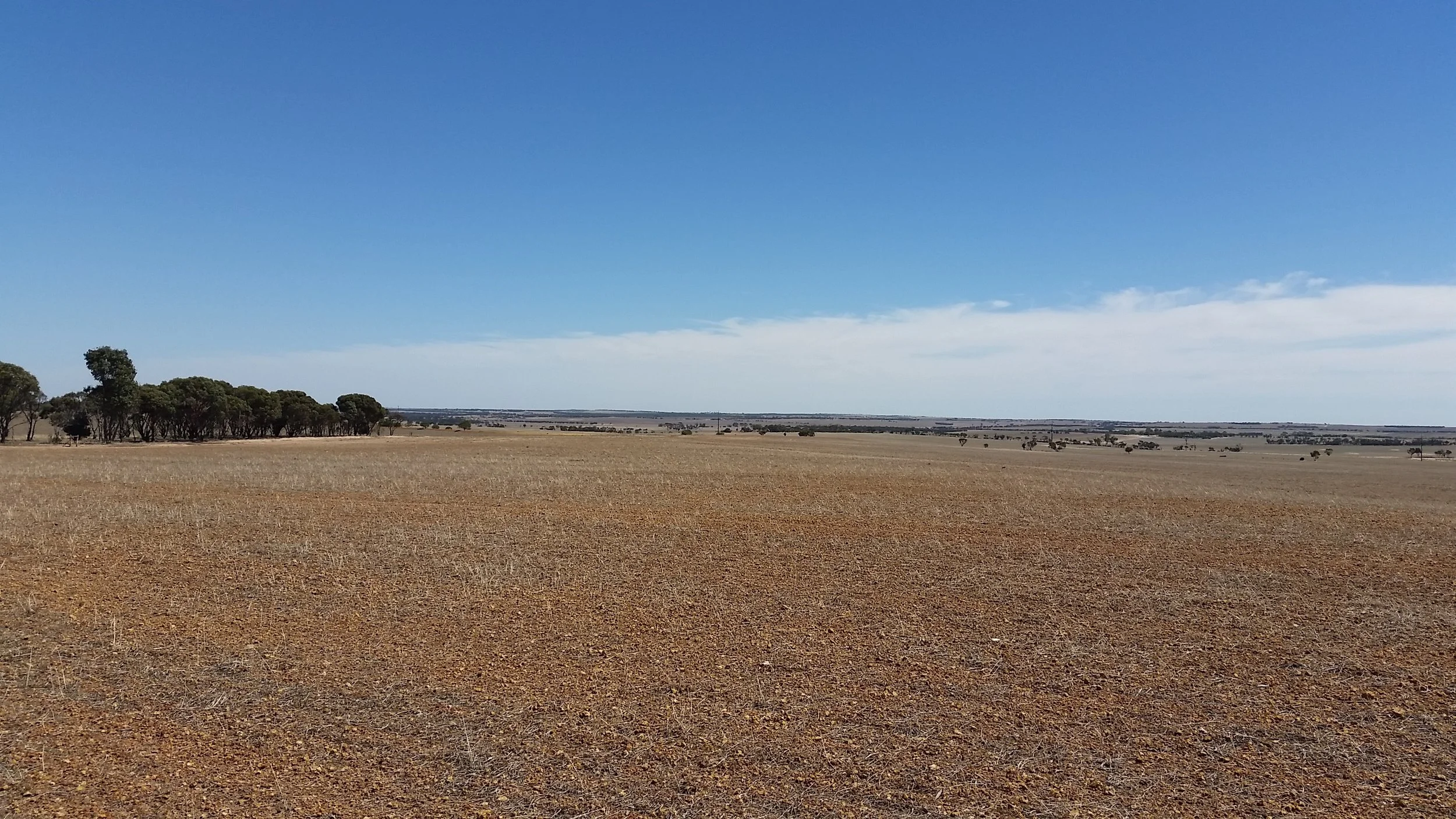20160216_105335.jpg