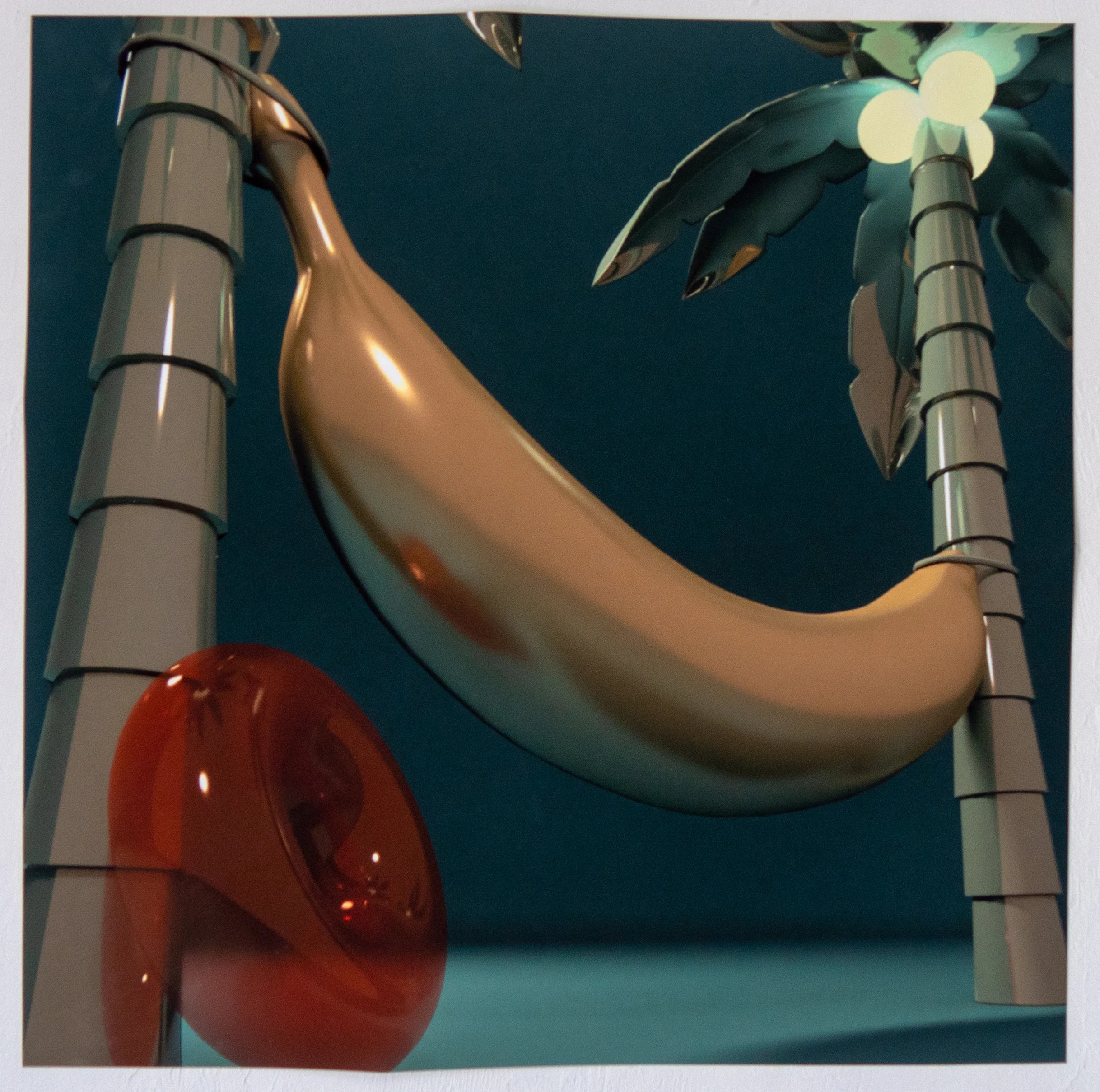 transnatural_documentation62-1.jpg