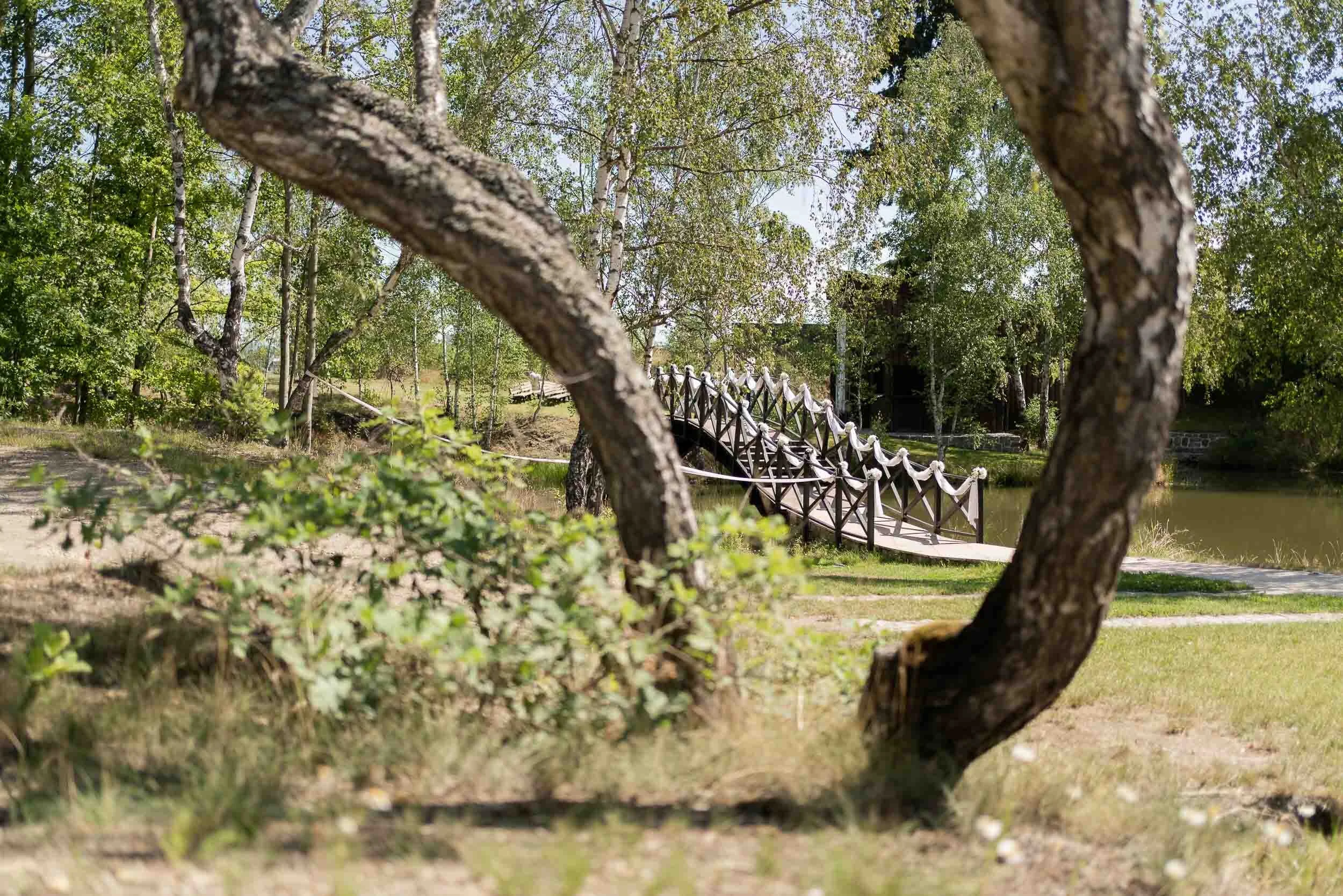 Wedding_Hanka_and_Martin (1).JPG