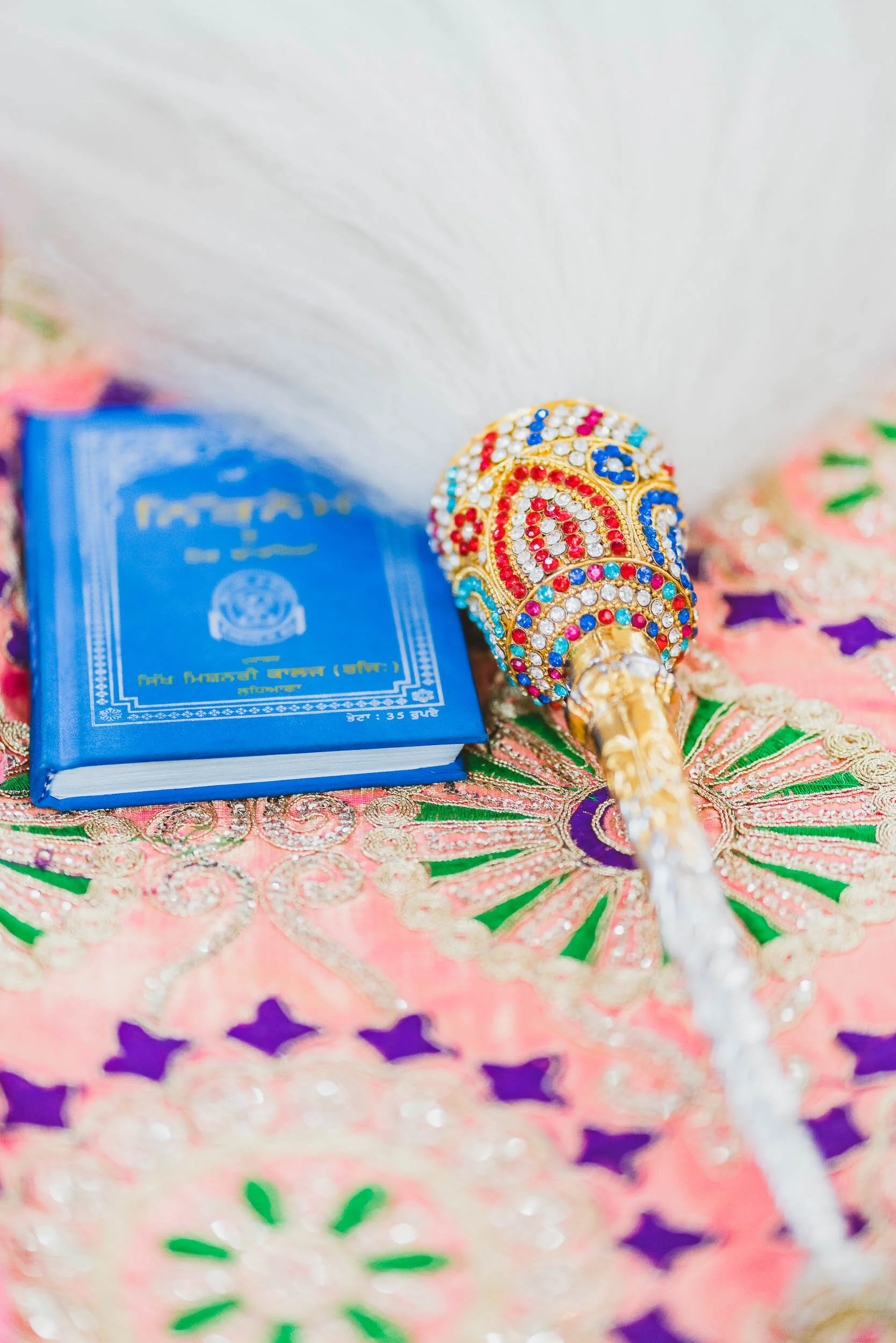 Kanika_and_Jan_Indian_wedding (1595).JPG