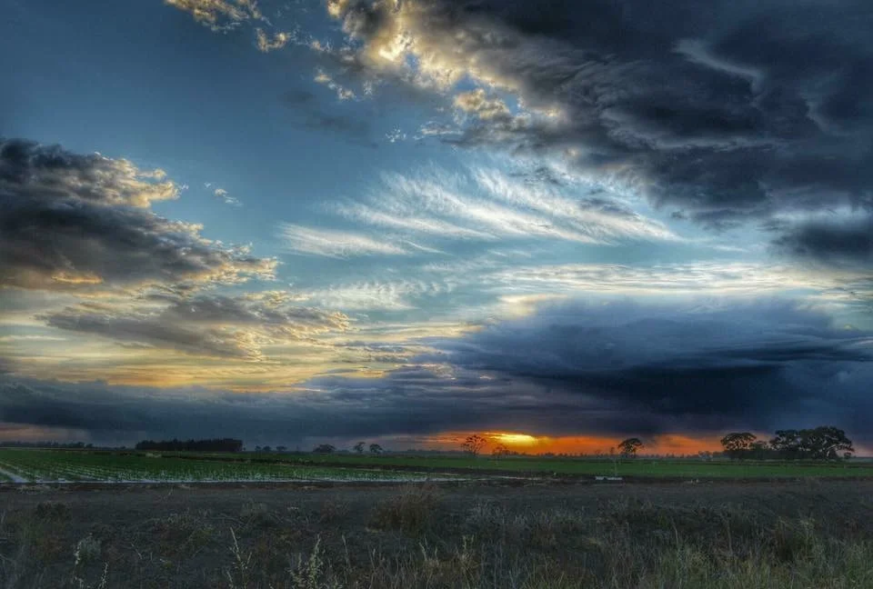 Image Credit: Samantha Blackett