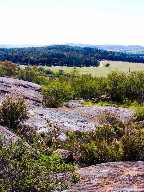 Image Credit: Fairview Off-Grid Camping