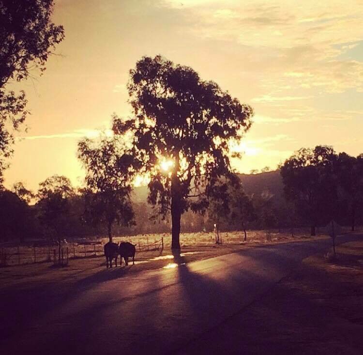 Image Credit - Tiki Paton