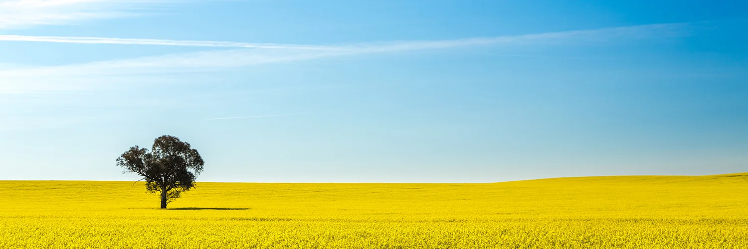 RDA Riverina local photography competition