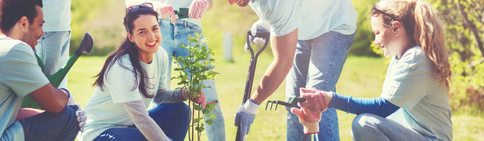 Group-of-people-digging-a-hole-to-plant-a-tree2.jpg