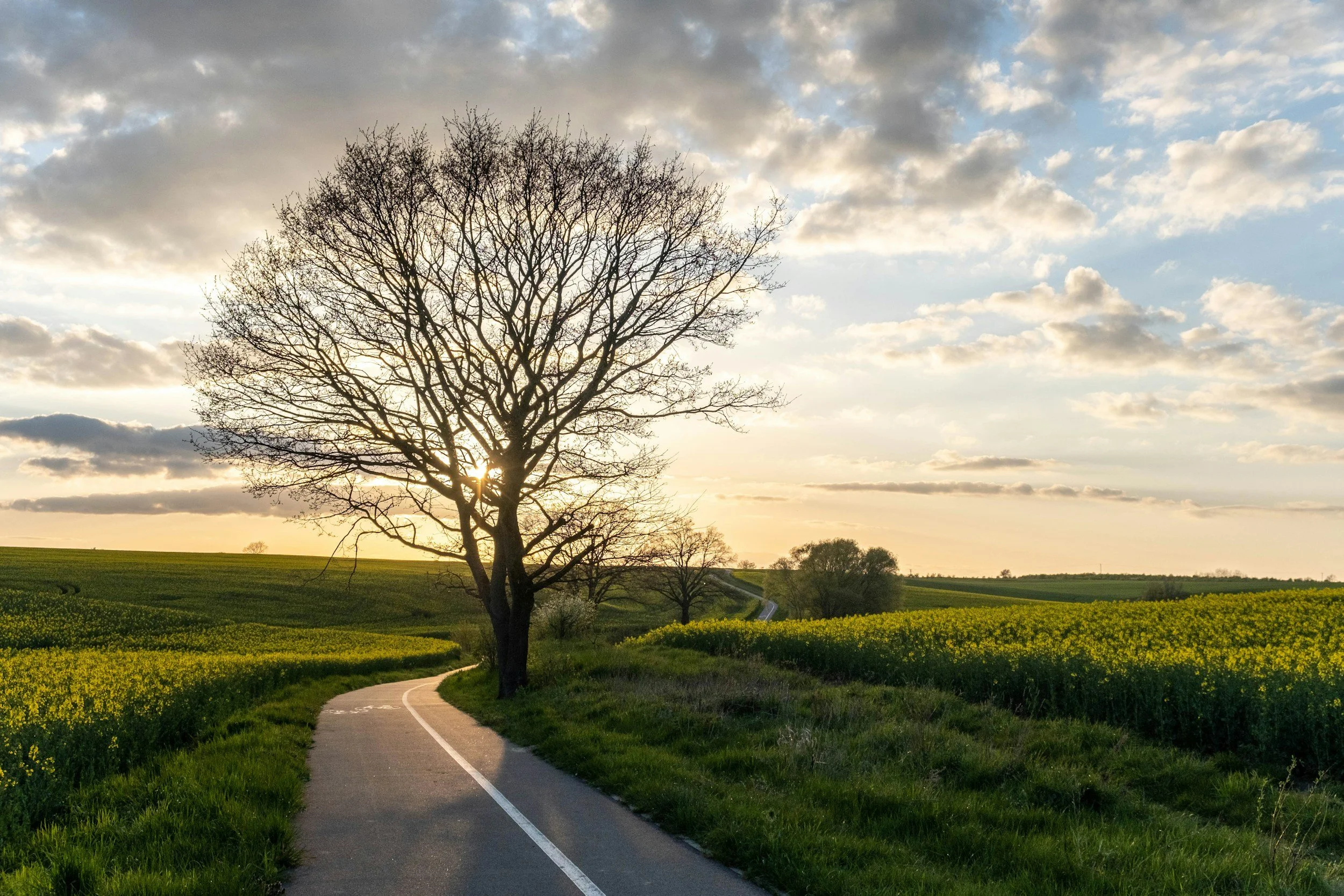 $50 million in funding open for active transport