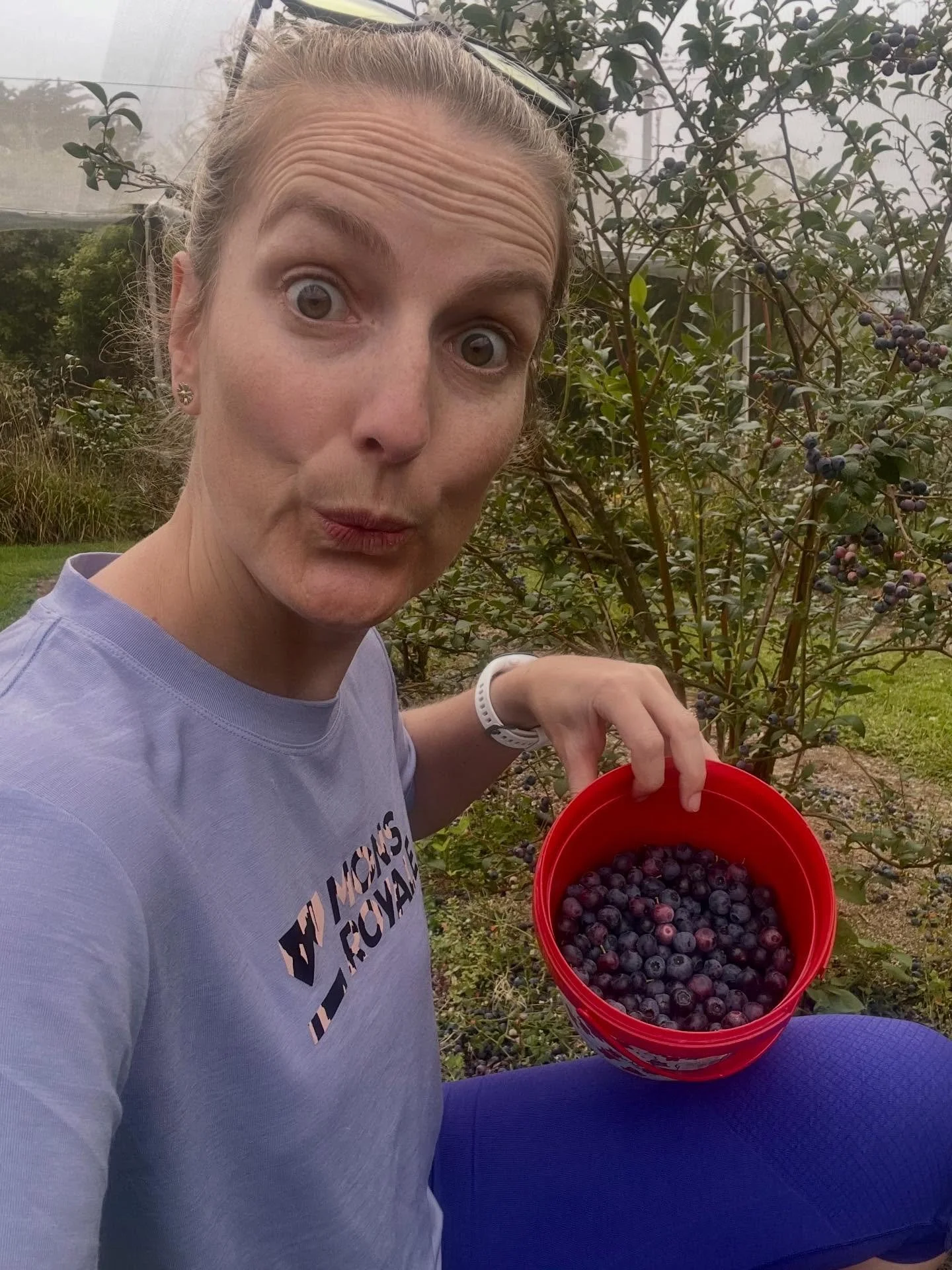 🫐Shades of purple 🤣🫐 

When your outfit matches your activity! Filling up the buckets with heaps of beautiful #blueberries One of my fav summer activities and ready to squirrel them away for later in the year. 

Amazing health benefits to eating b