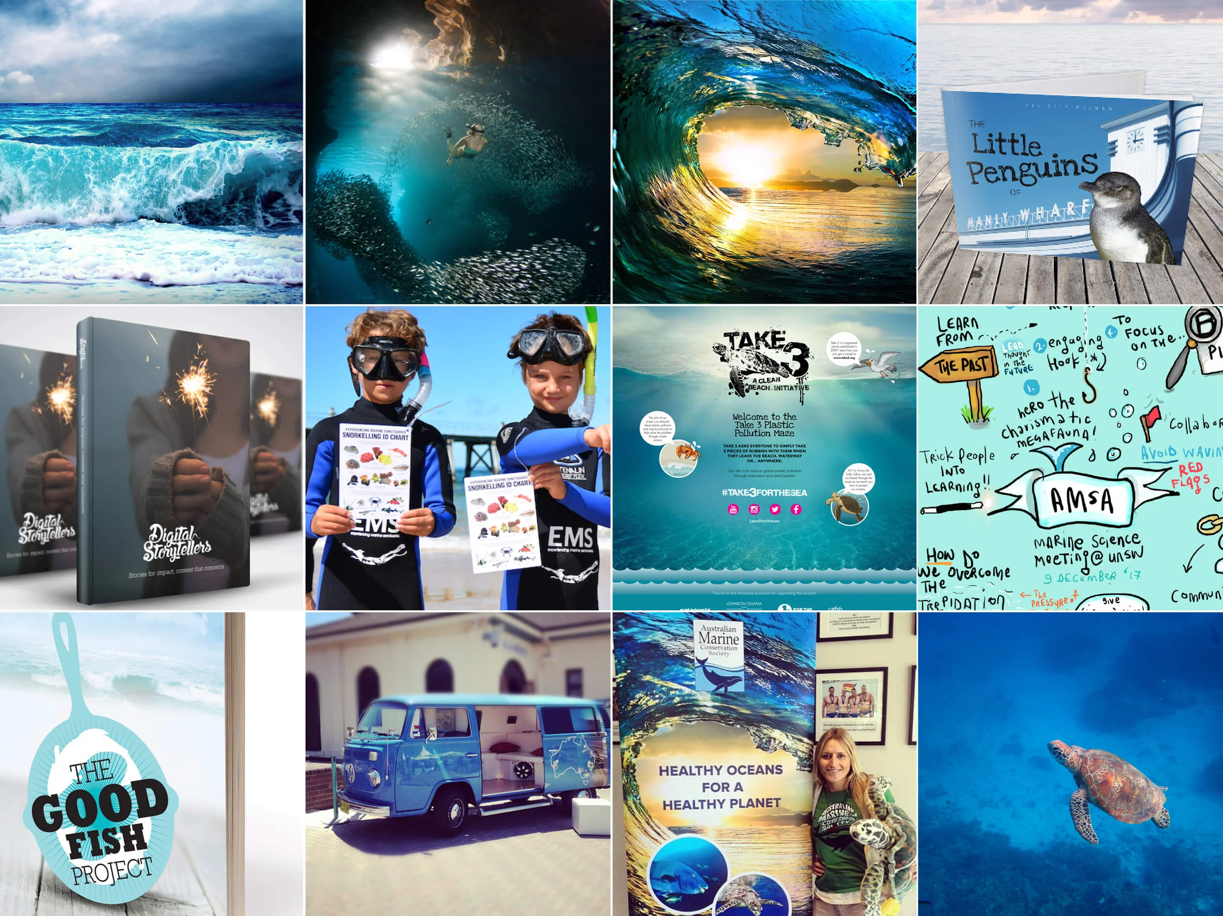Montage-Crop (1).jpg