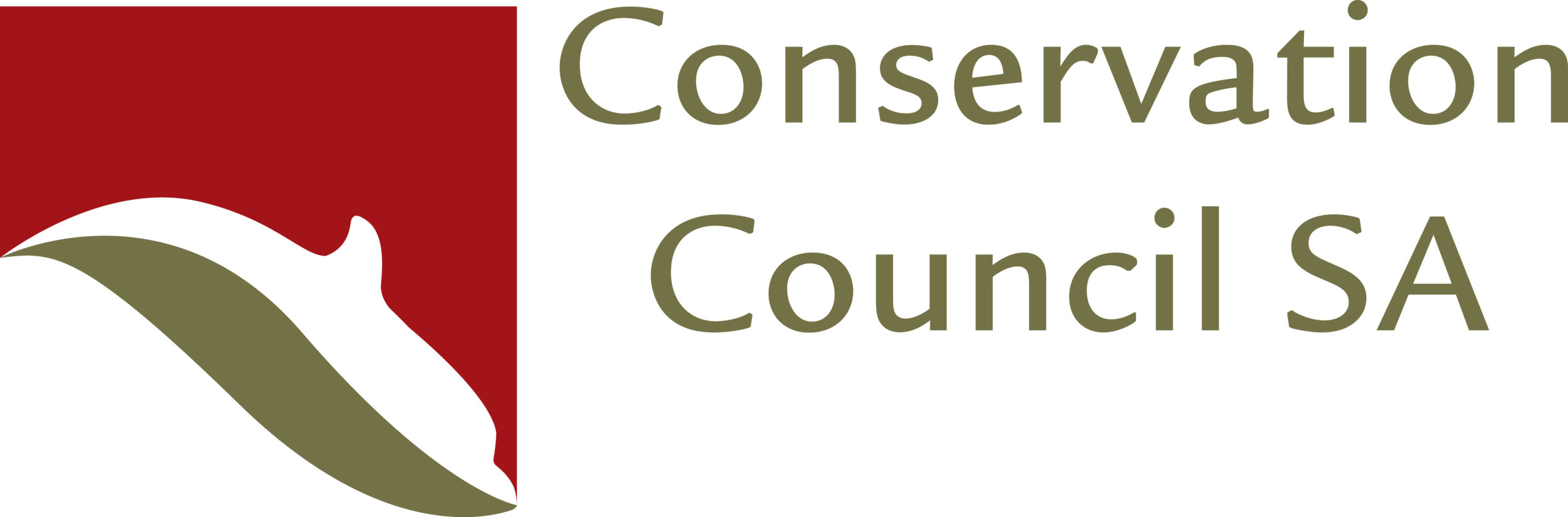 CCSA.png