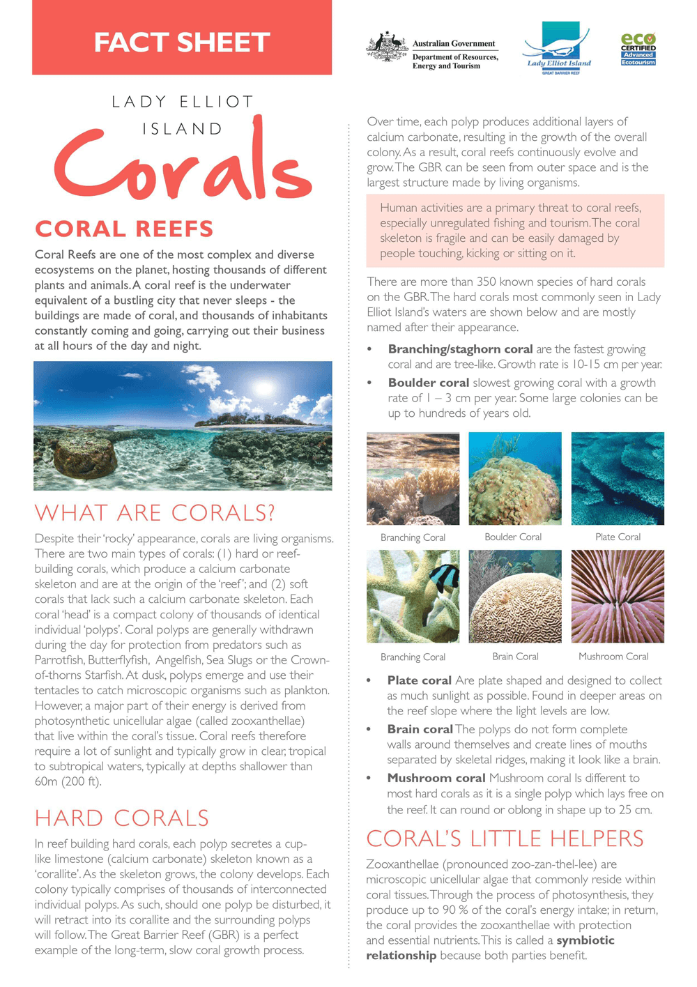 corals.png