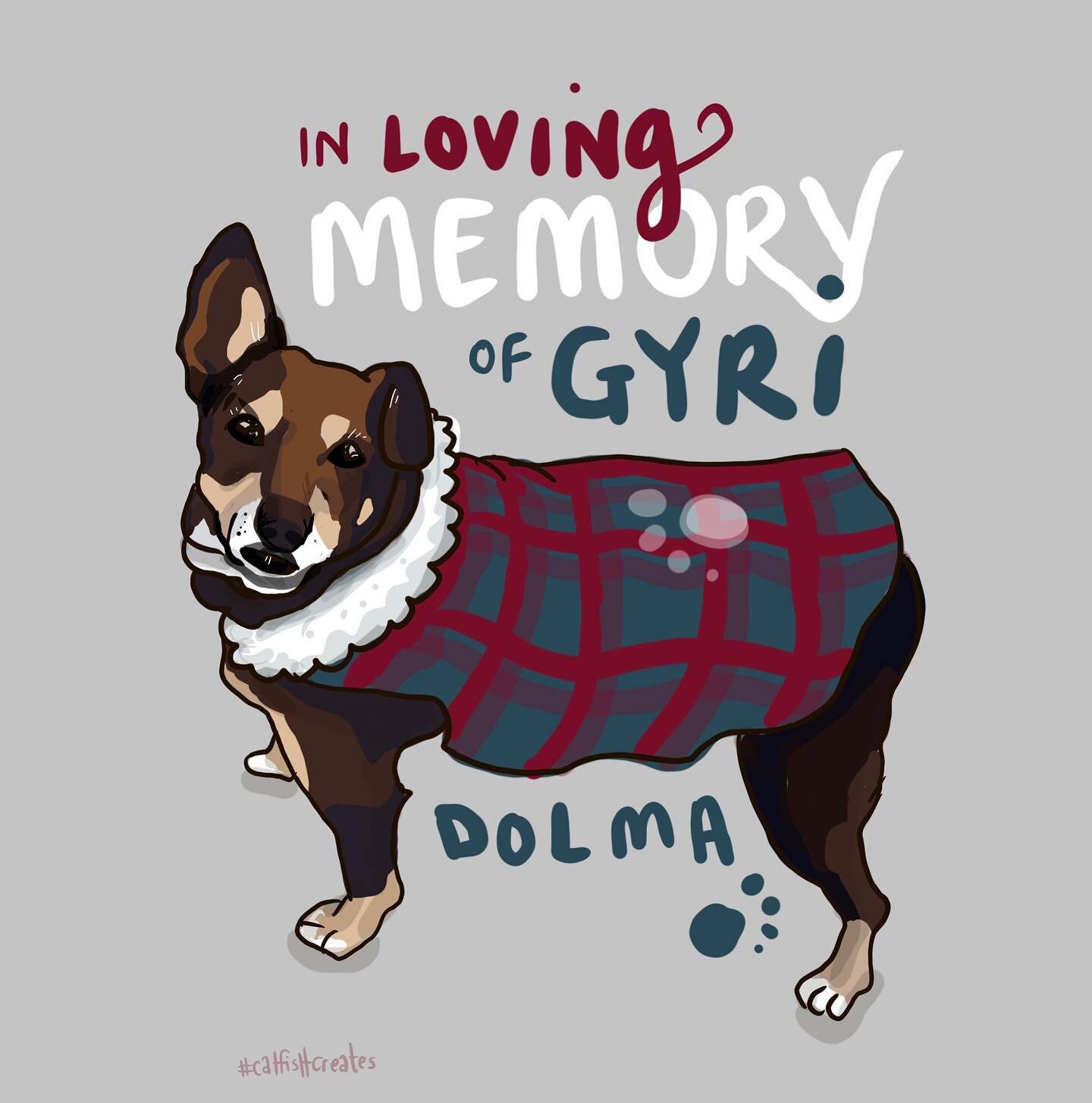 Meeting at the gompa this morning @drogmibuddhistinstitute to collectively whisper 49 prayers for a loving dog that reached 22 years in age - see you in the next life Gyri Dolma, the sweetest lady dawg! 🐾