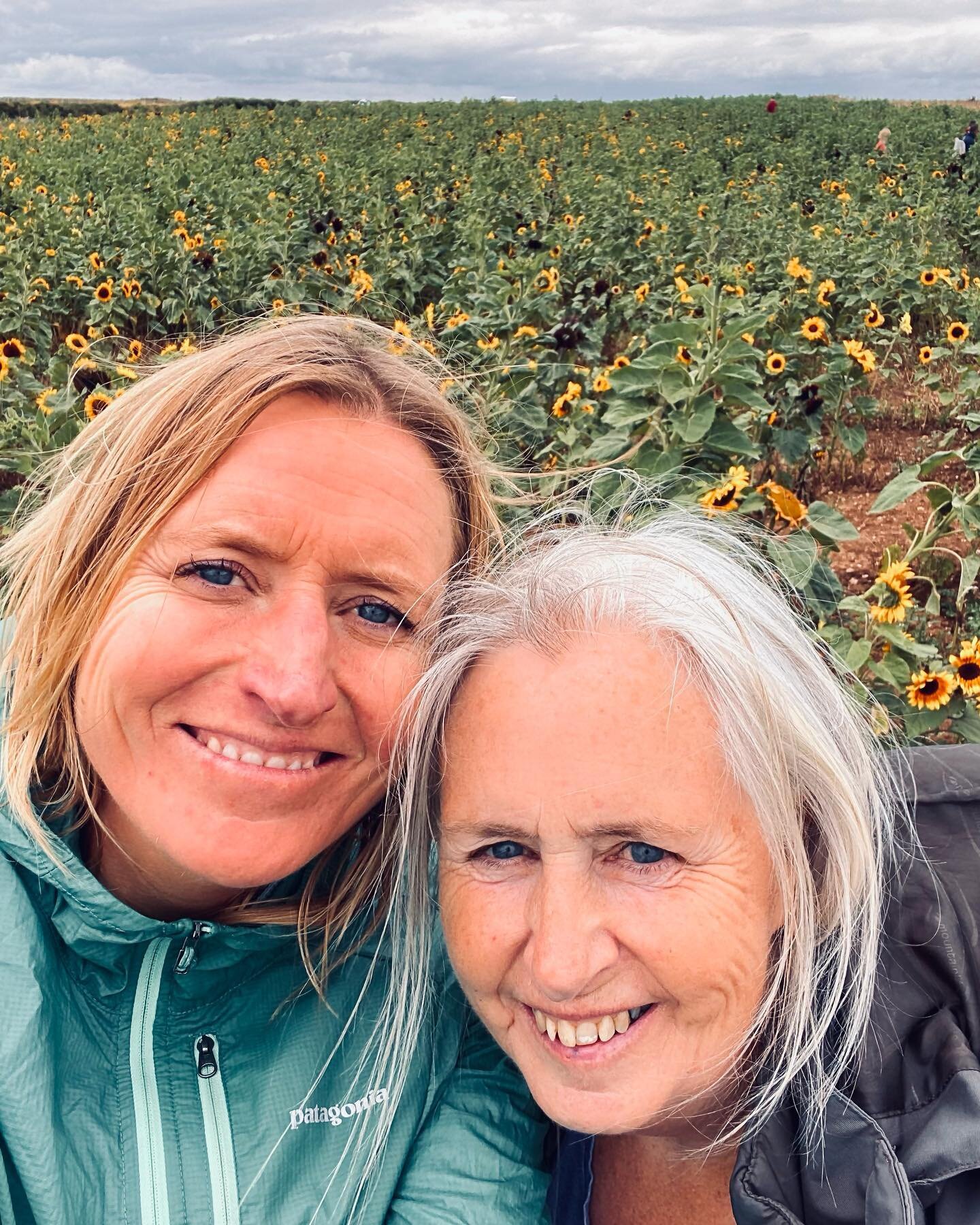 Q time with this sunflower on her birthday after 3 years apart is the biggest gift&hellip; for me. Mum time at last!