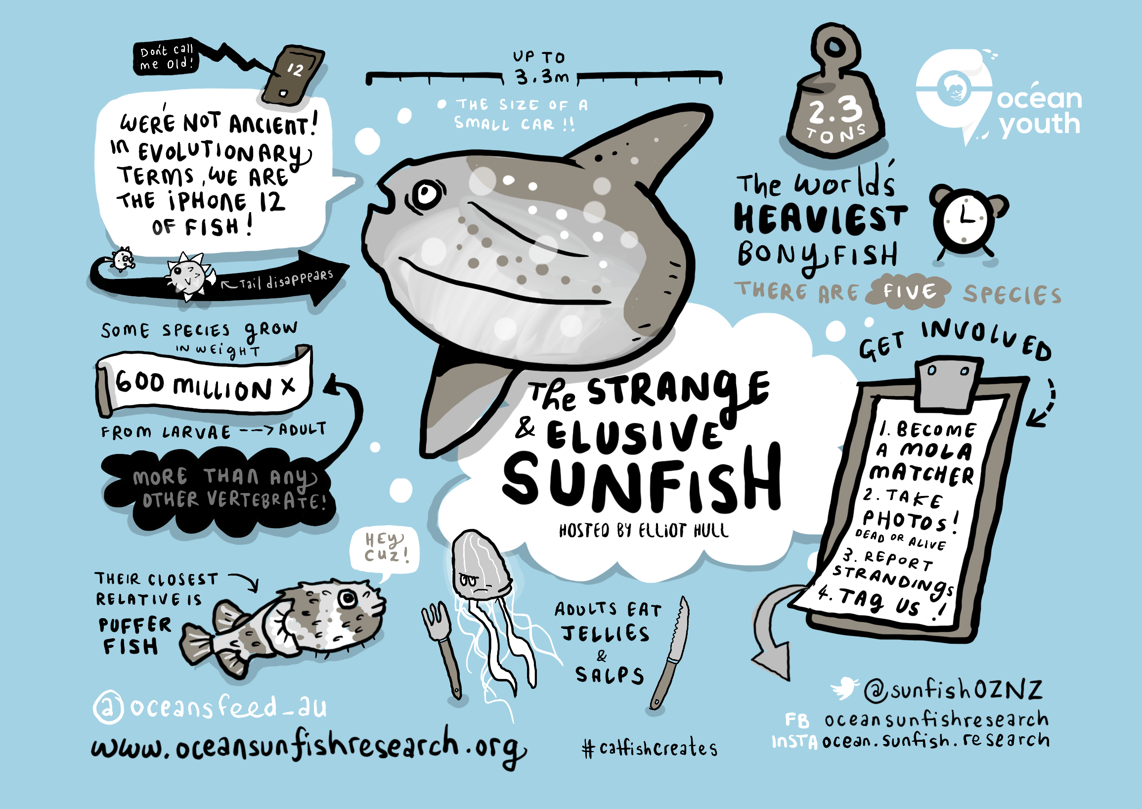 Ocean Youth Sunfish Webinar Hosted by Elliott Hull.png