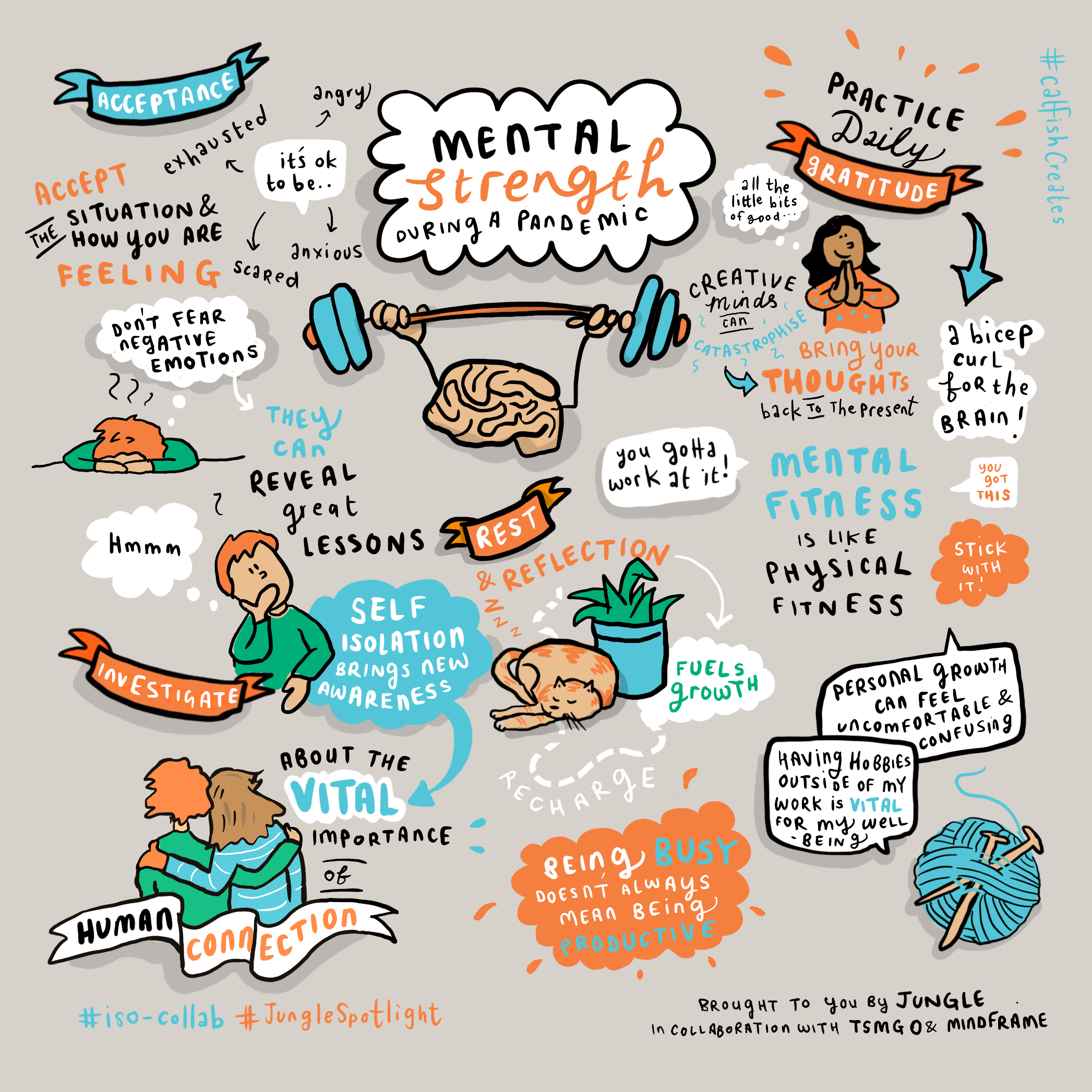 JungleEnts-Infographic-Catfish-#3.png