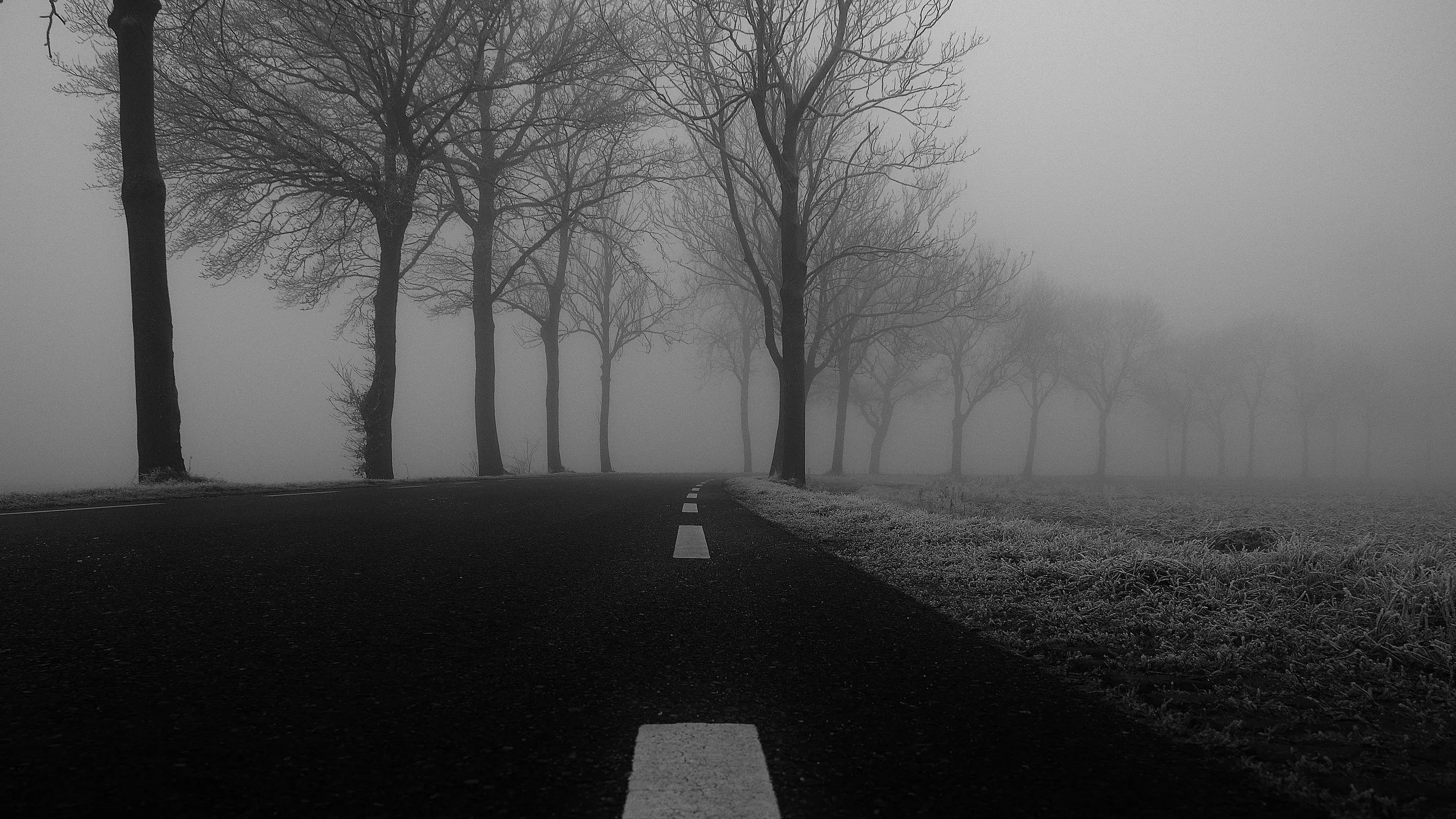allee-baume-dunst-4241.jpg
