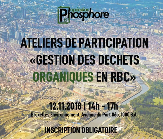 Affiche atelier 12.11.jpg