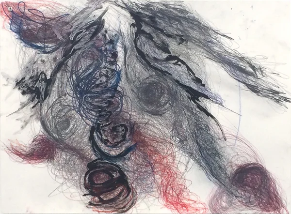 Andrea Van Peteghem