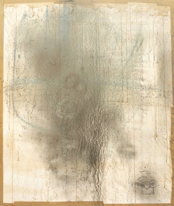 Anne Geradin