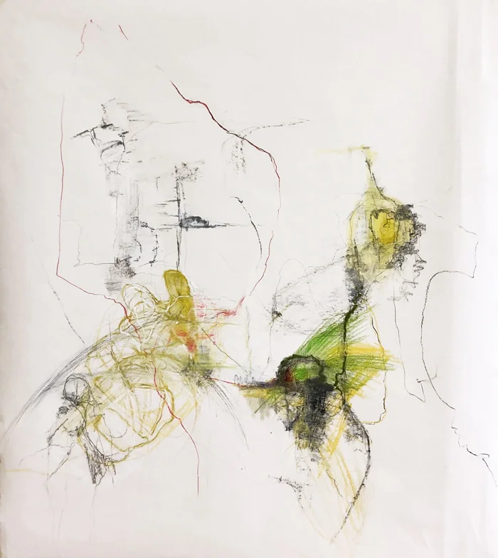 Fabienne David