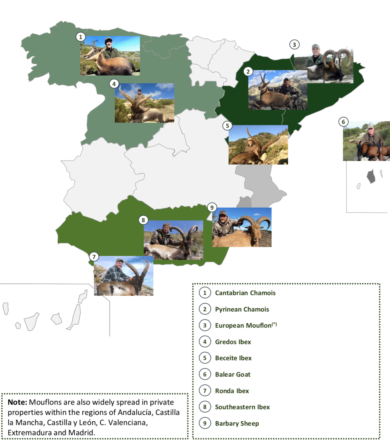 Spainhunting.png