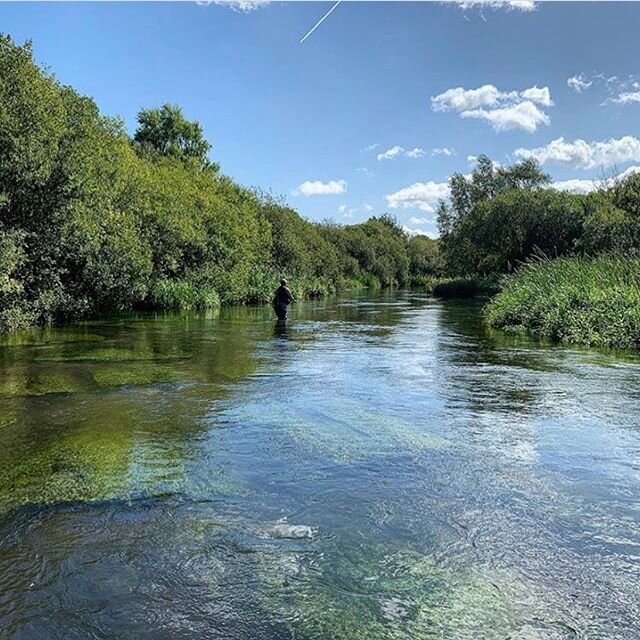 PRIME TIME - It&rsquo;s rather exciting, isn&rsquo;t it? The Mayfly are bouncing off the mirrored water and the reflection of the cars we take down to the water&rsquo;s edge. Let&rsquo;s get going 
#mayfly #chalkstream #spring2020 #socialdistancing