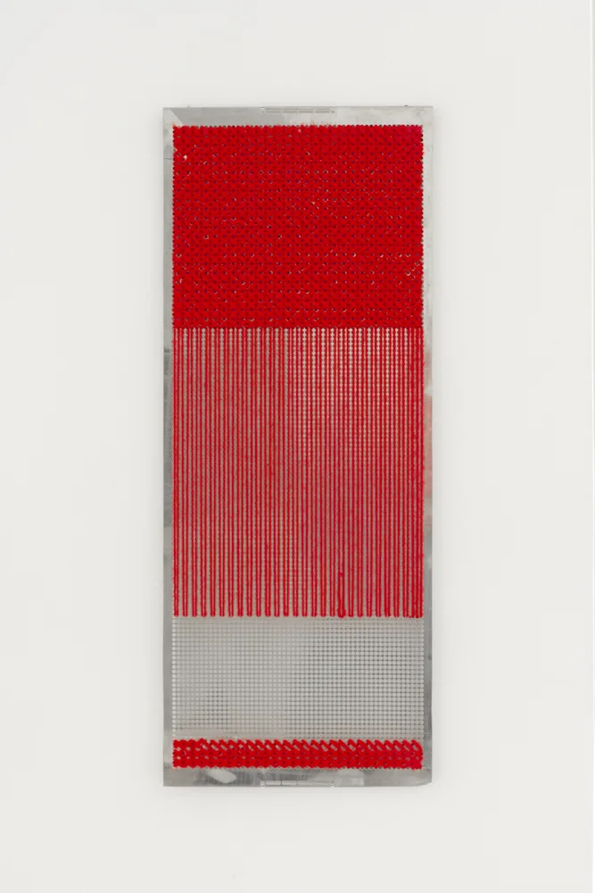 Nardeen Srouji, Red Stitch