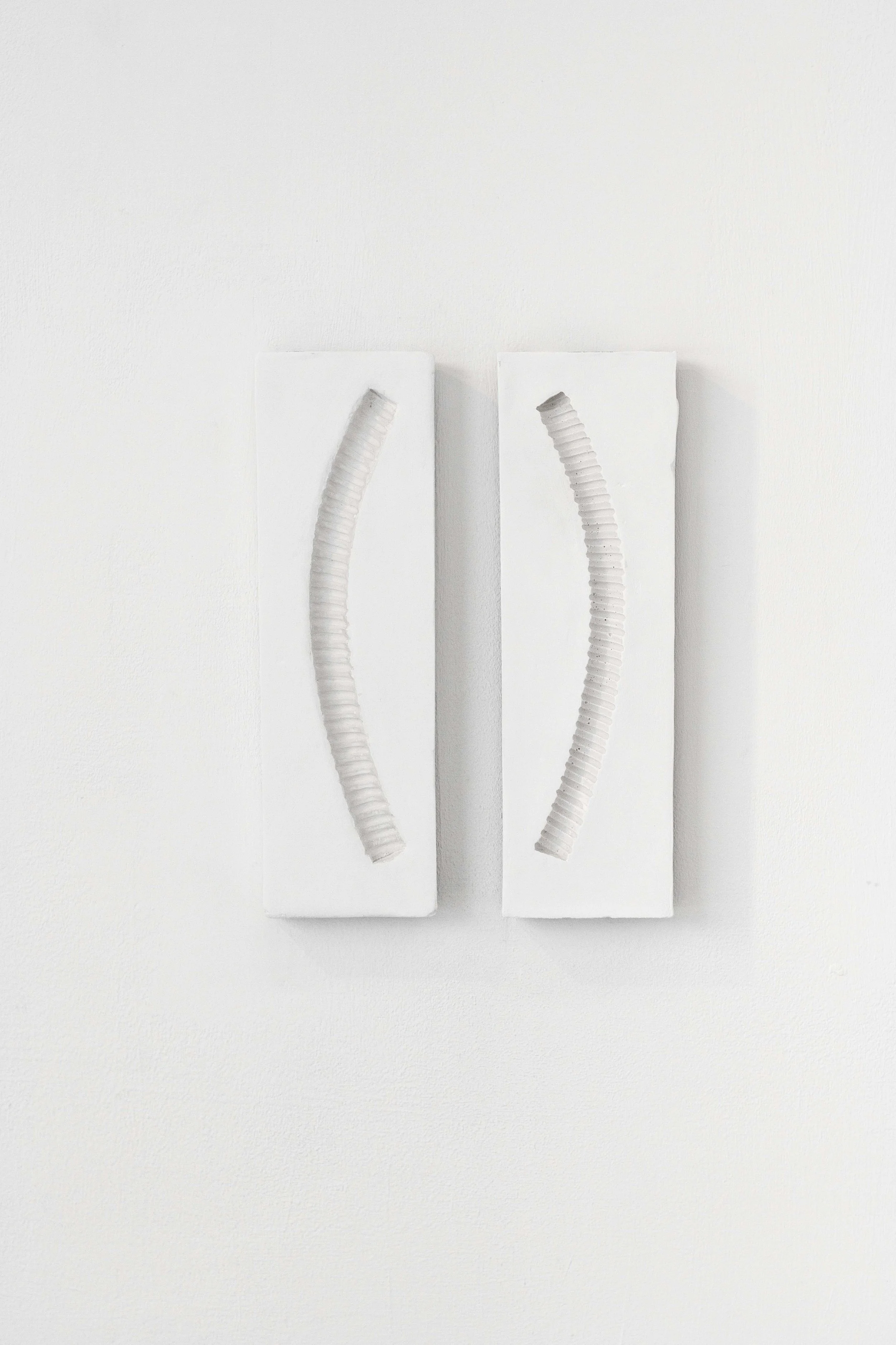 Noa Schwartz Lev Har, Fossils