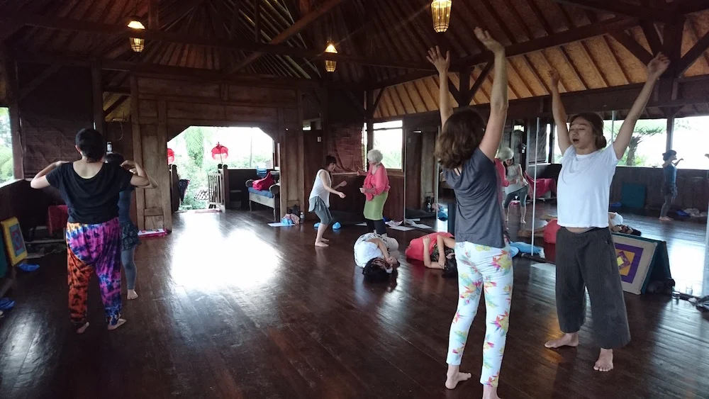 A Embodied & Butoh Dance workshop By Maria Sangiorgi & Yumi Umiumare in Bali, 5-10 June 2017  日