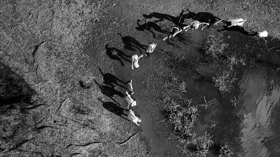 Photo by Vikk Shayen