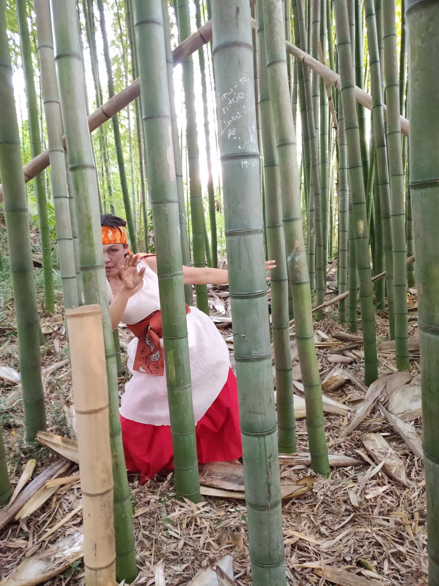 Butoh and Tea in Águeda, Portugal  Sep 2019
