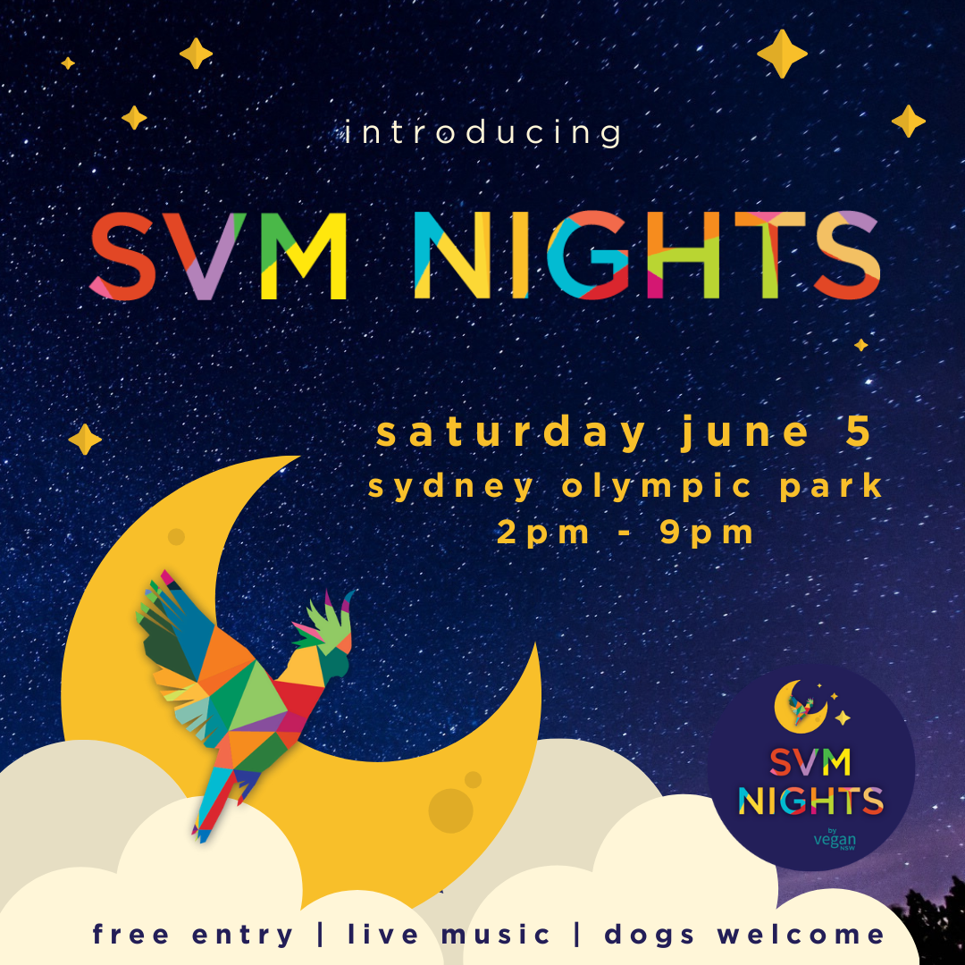 SVM nights (15).png