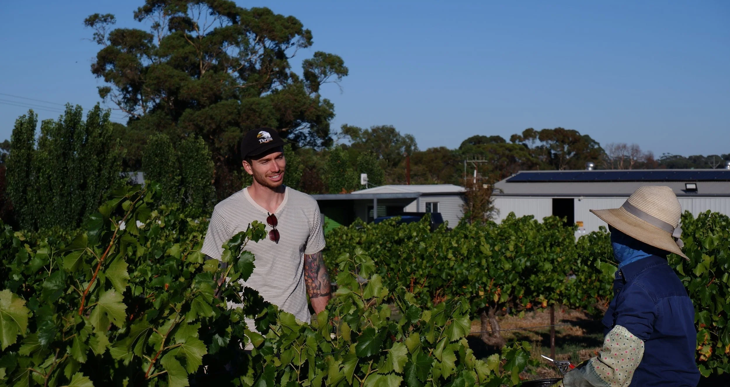 White Gate Wine Co 2021