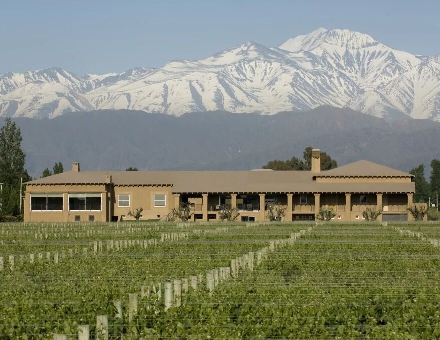 Bodega Vistalba - Luj&aacute;n de Cuyo, Mendoza, Argentina..

Widely respected in the Argentinian community, Carlos Pulenta began Bodega Vistalba in 2003 after growing up in the vines and being heavily involved in the wine industry since the 70&rsquo