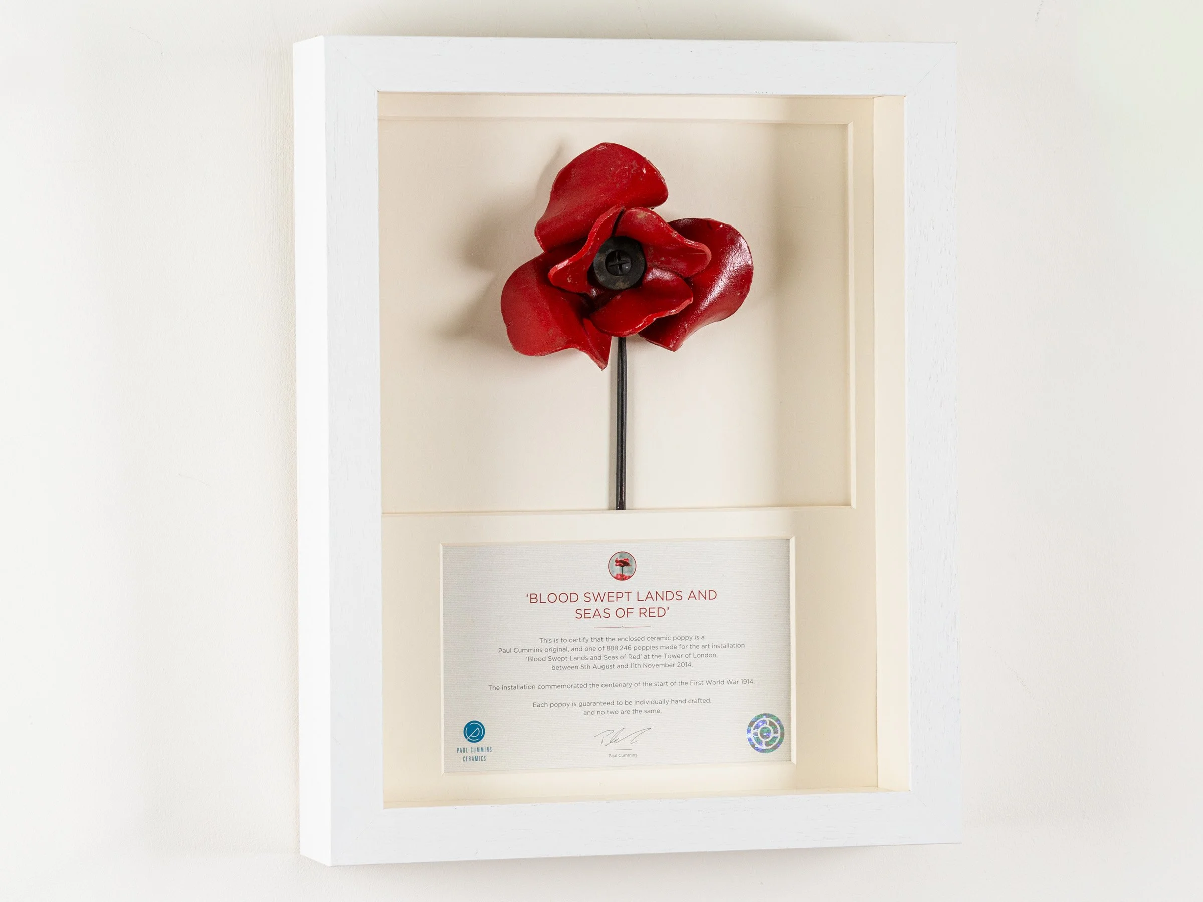 Poppy object presented in a bespoke deep frame by The Nunhead Framer