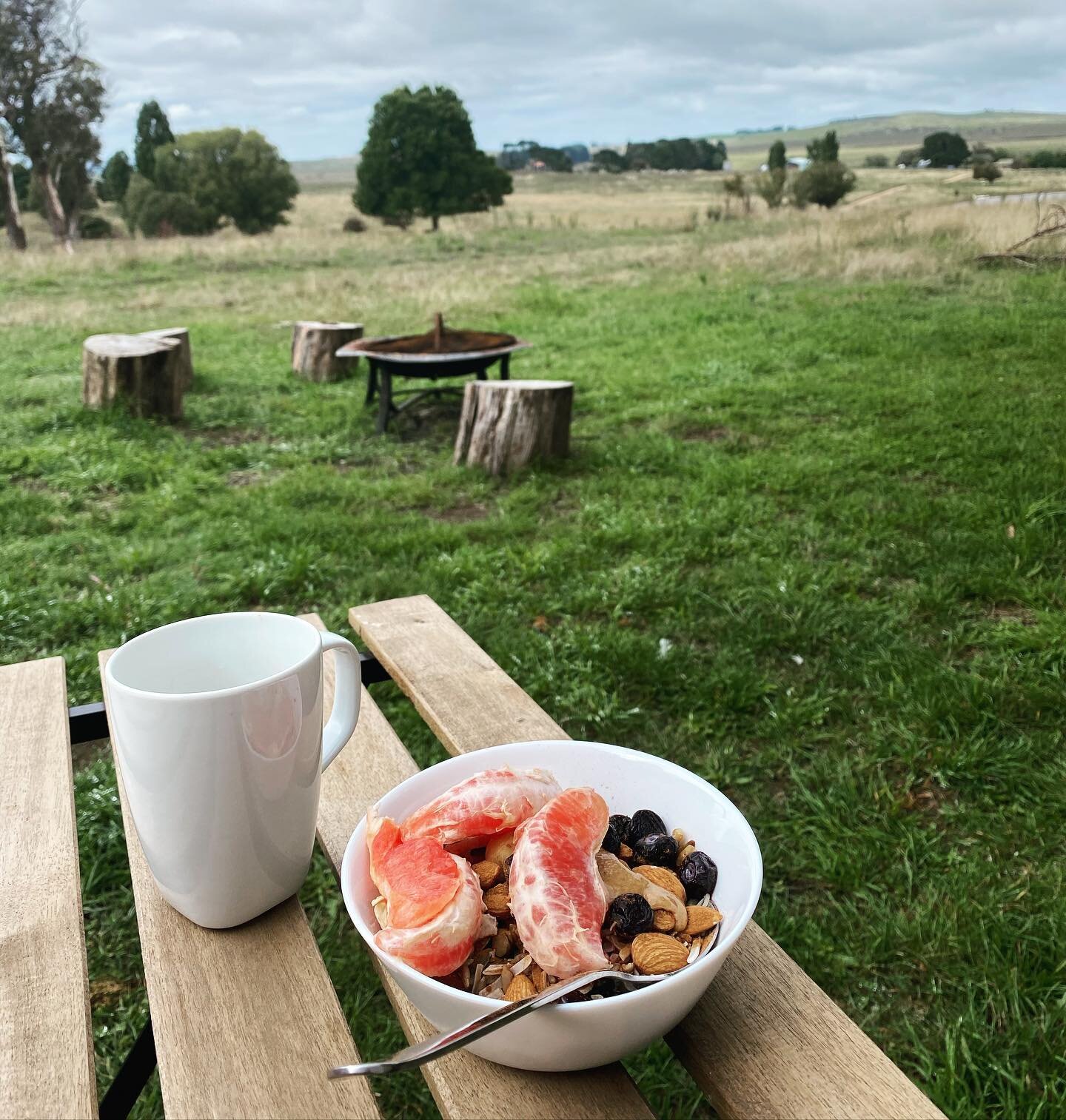 Healthy @chillandnourish breakfast with a view from the Tiny House near Braidwood we stayed in as part of a 5 day roadtrip to escape the hustle and bustle.

▫️ Coconut yoghurt with @honesttogoodnessau keto granola, almond butter and organic blueberri