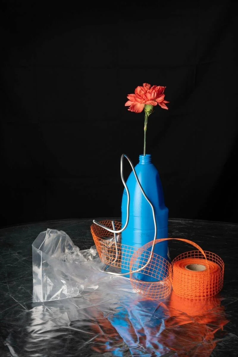 Kelly_Ekardt_Still Life_2.jpg