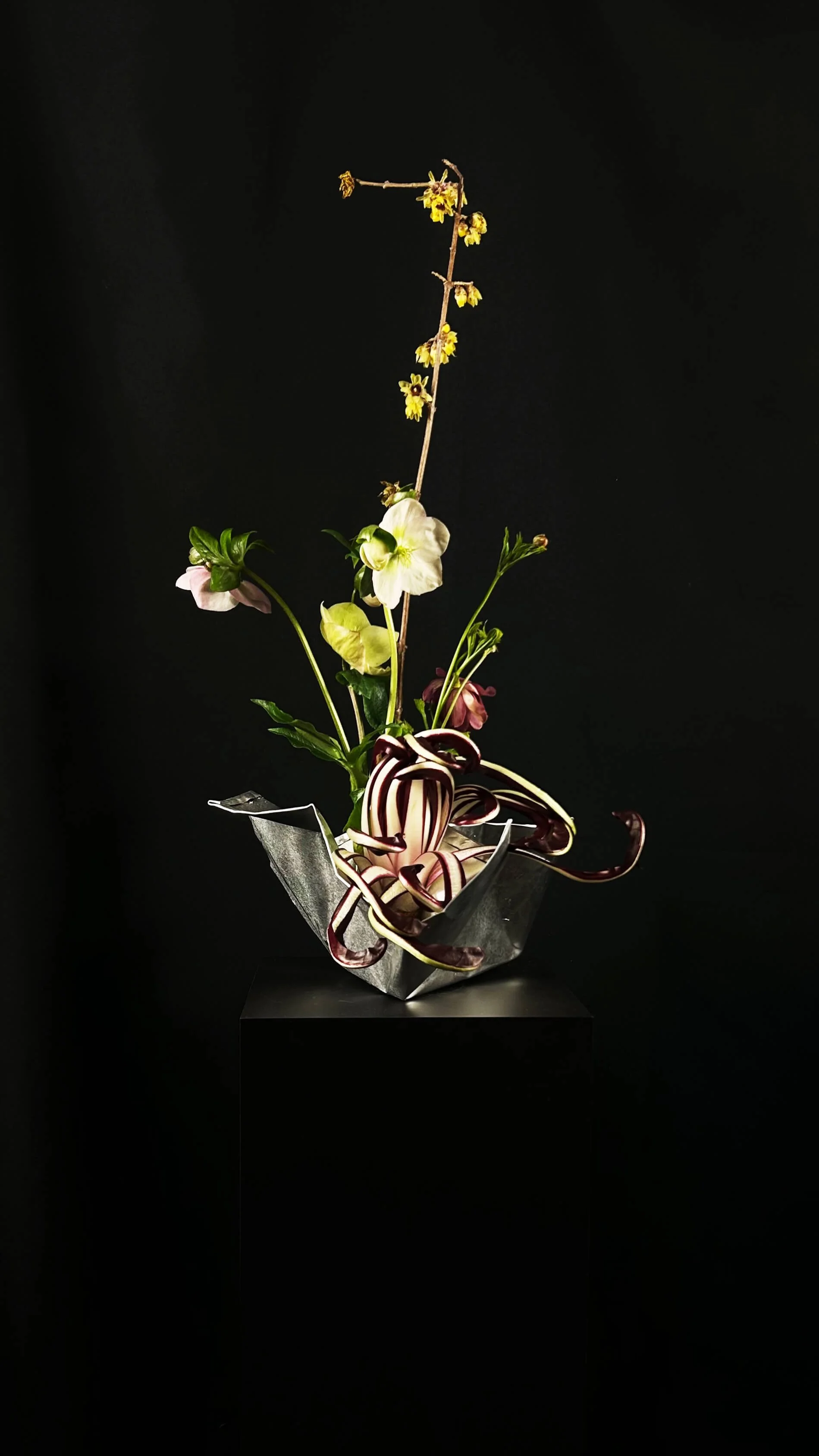 Kelly_Ekardt_Still Life_10.jpg