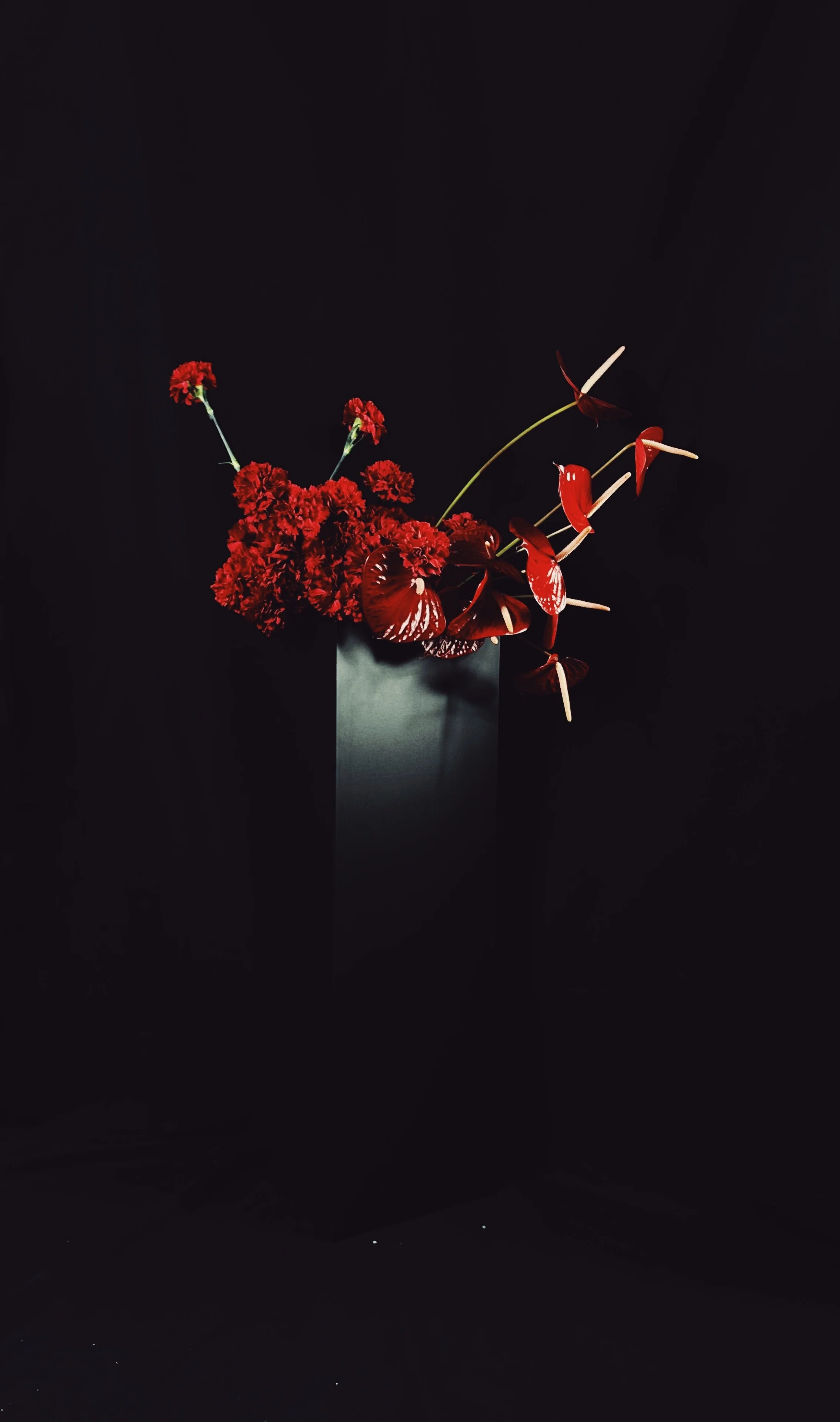 FullSizeRender_VSCO 2.JPG