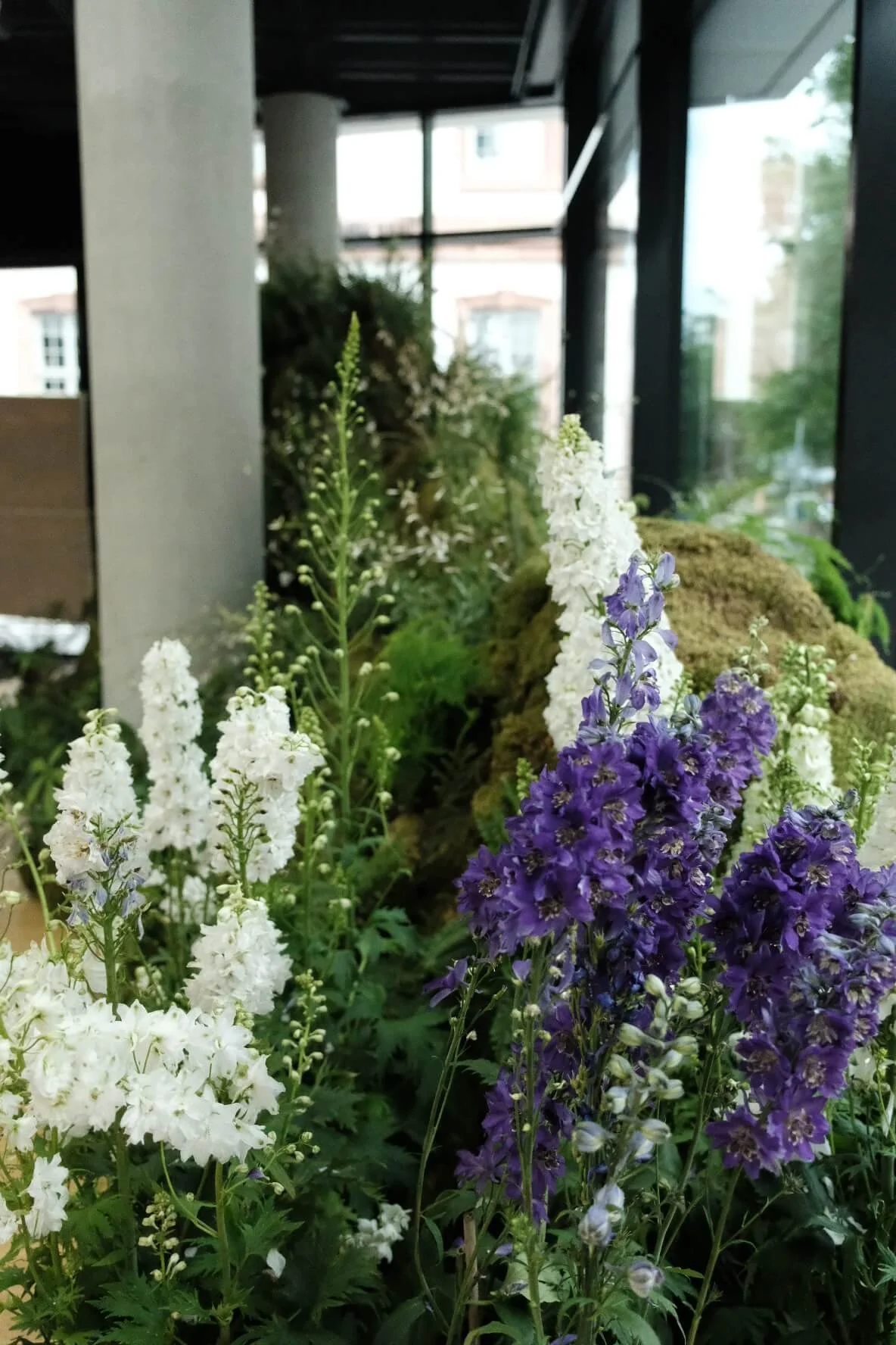 Genesis · Symphony of Senses