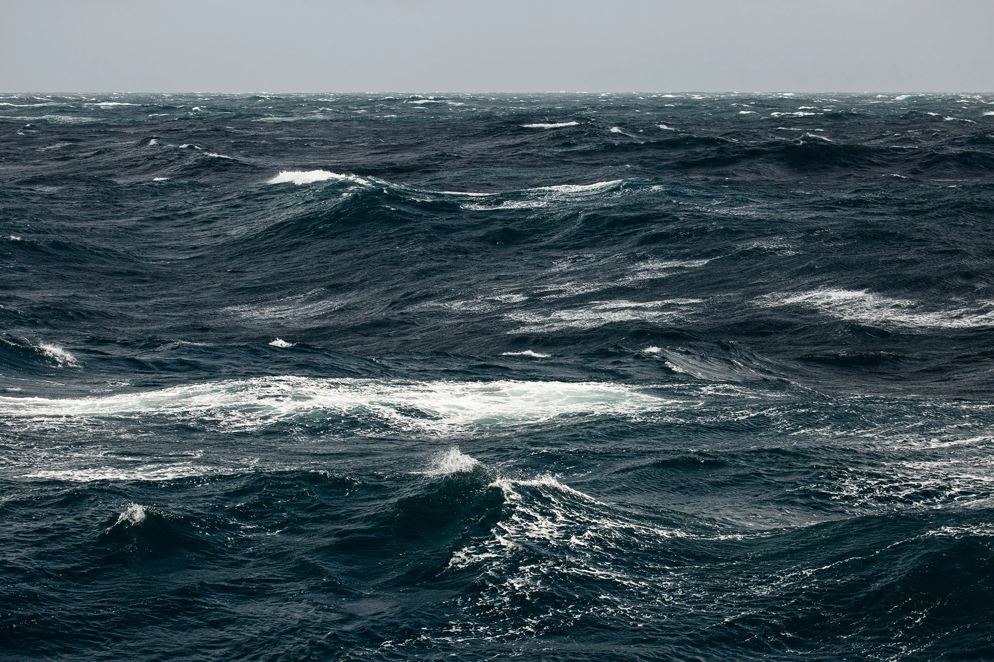 Eliza Waters - Bight sea