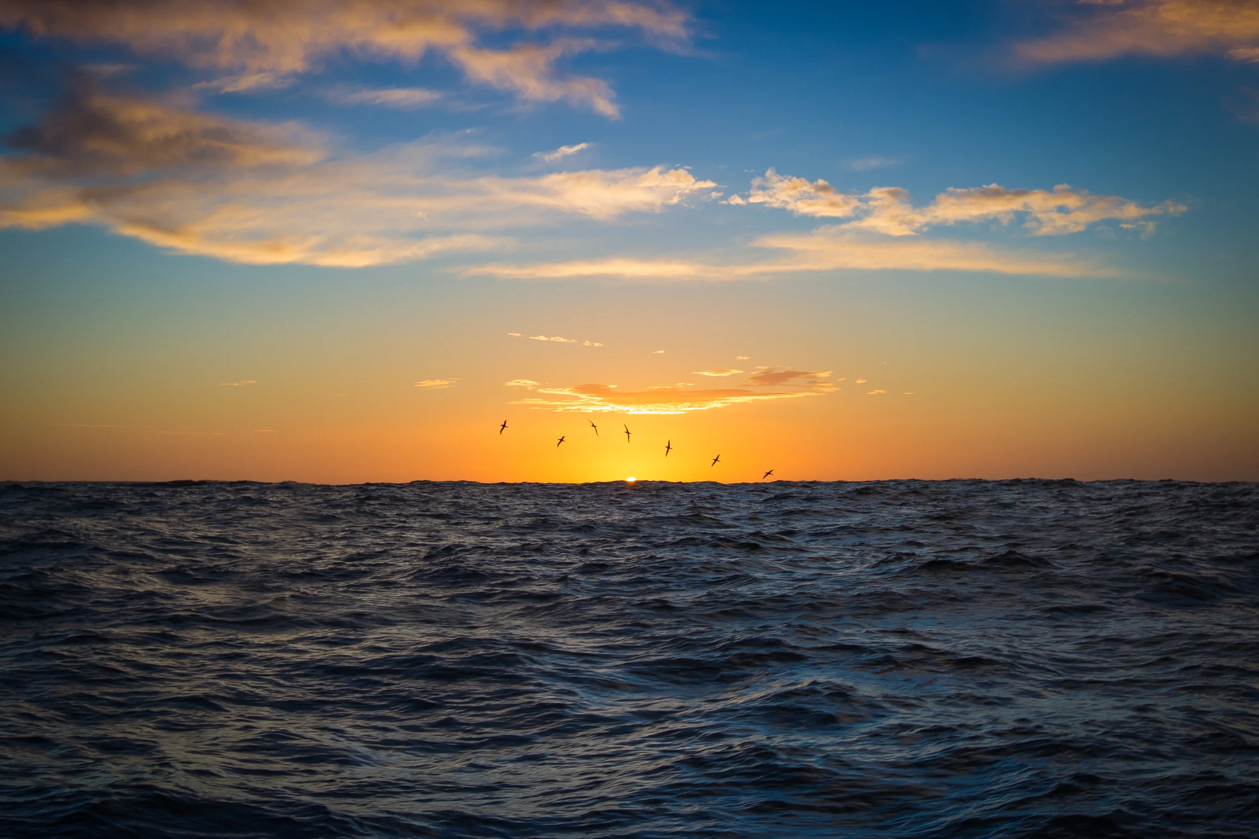 Brad Leue Southern Ocean