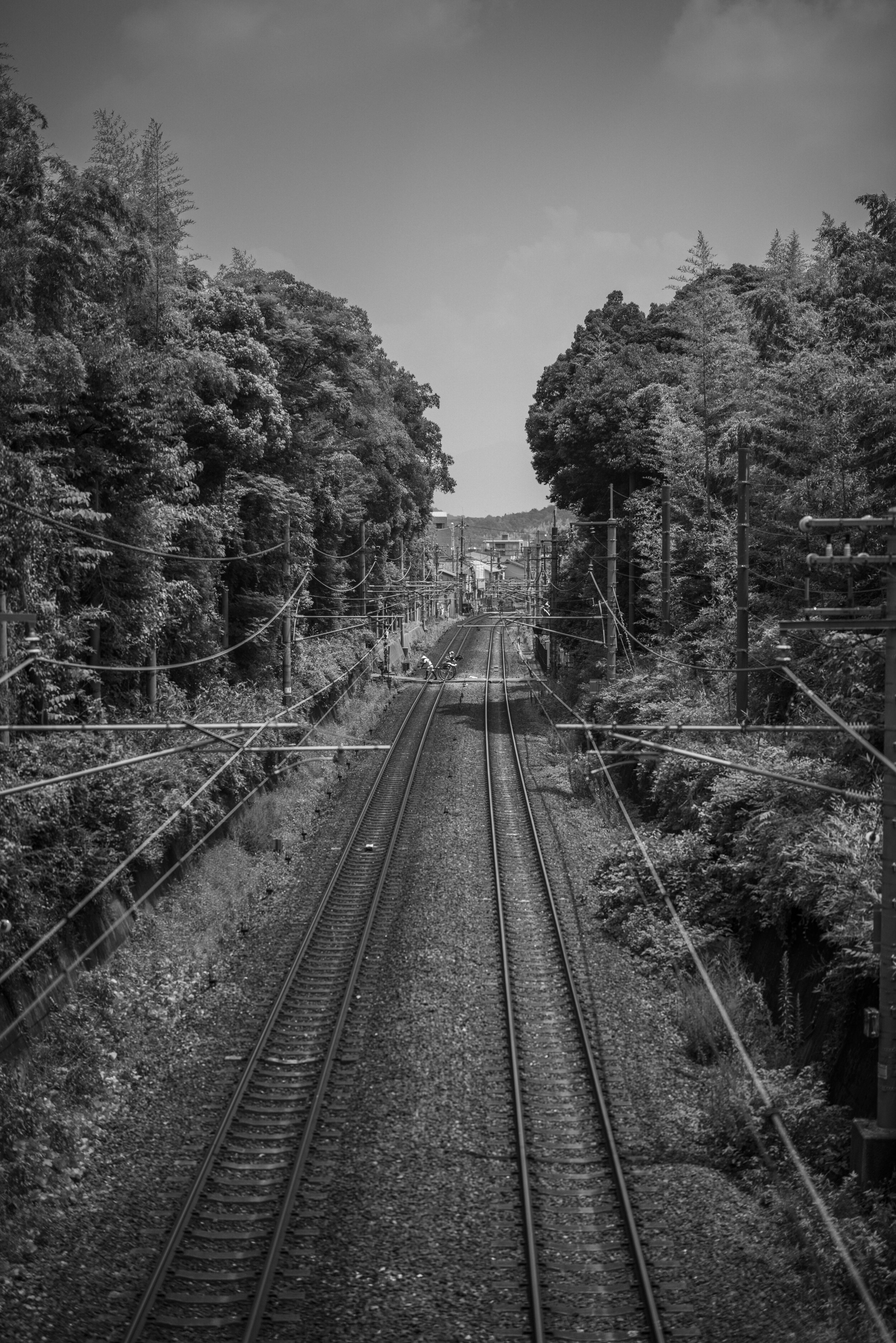 Japan honeymoon-80.jpg