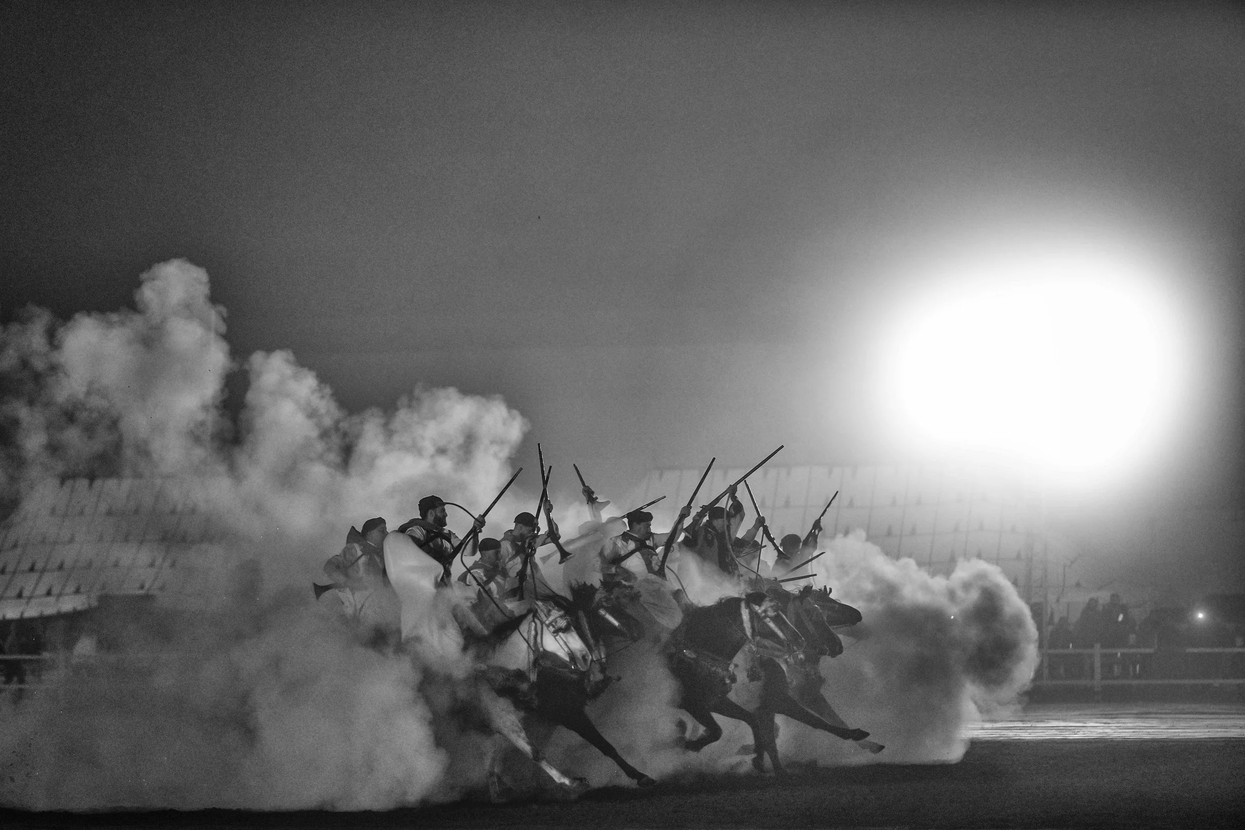 Horses in fury-12.jpg