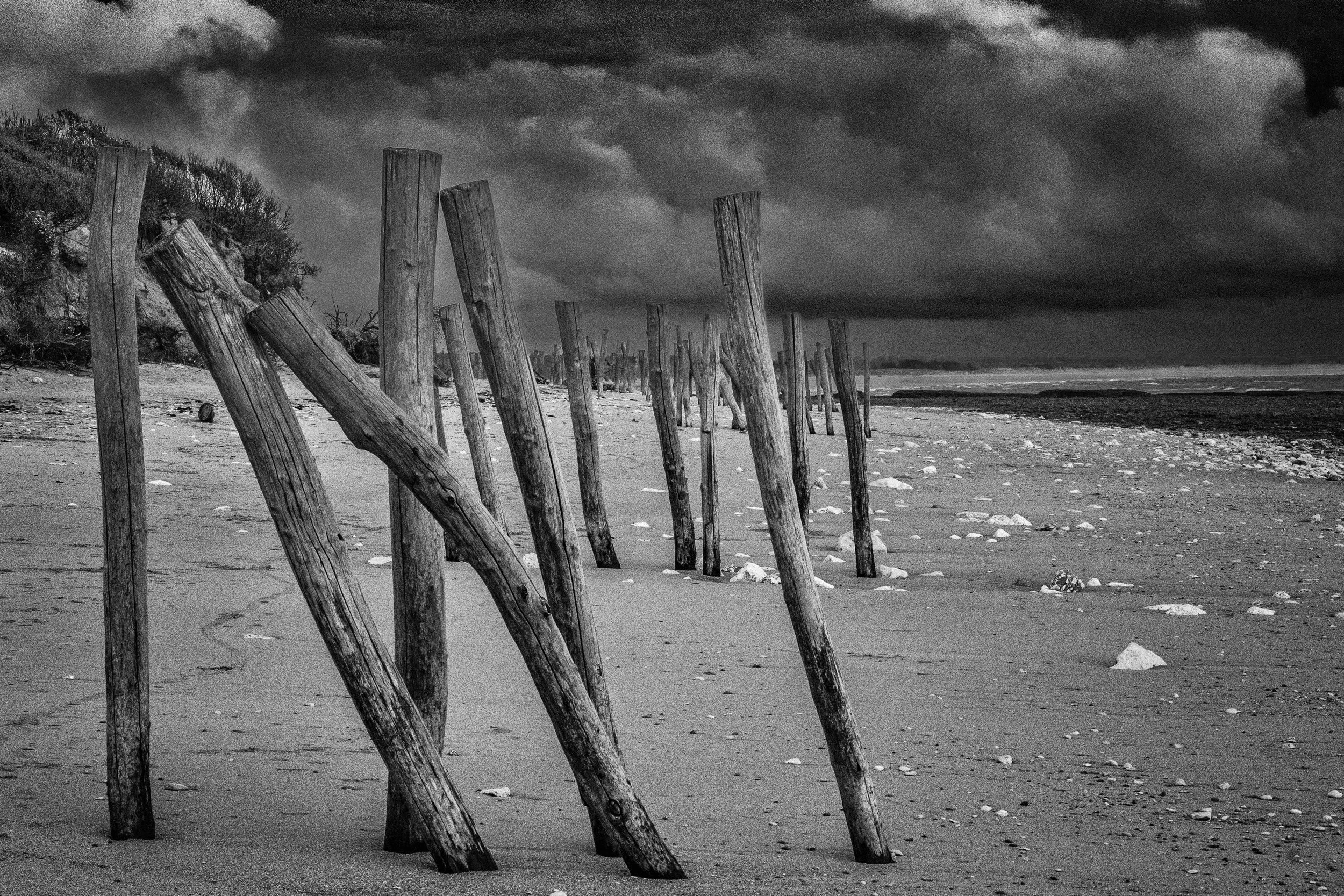 Oléron 2024-05 paysages B&W-4.jpg