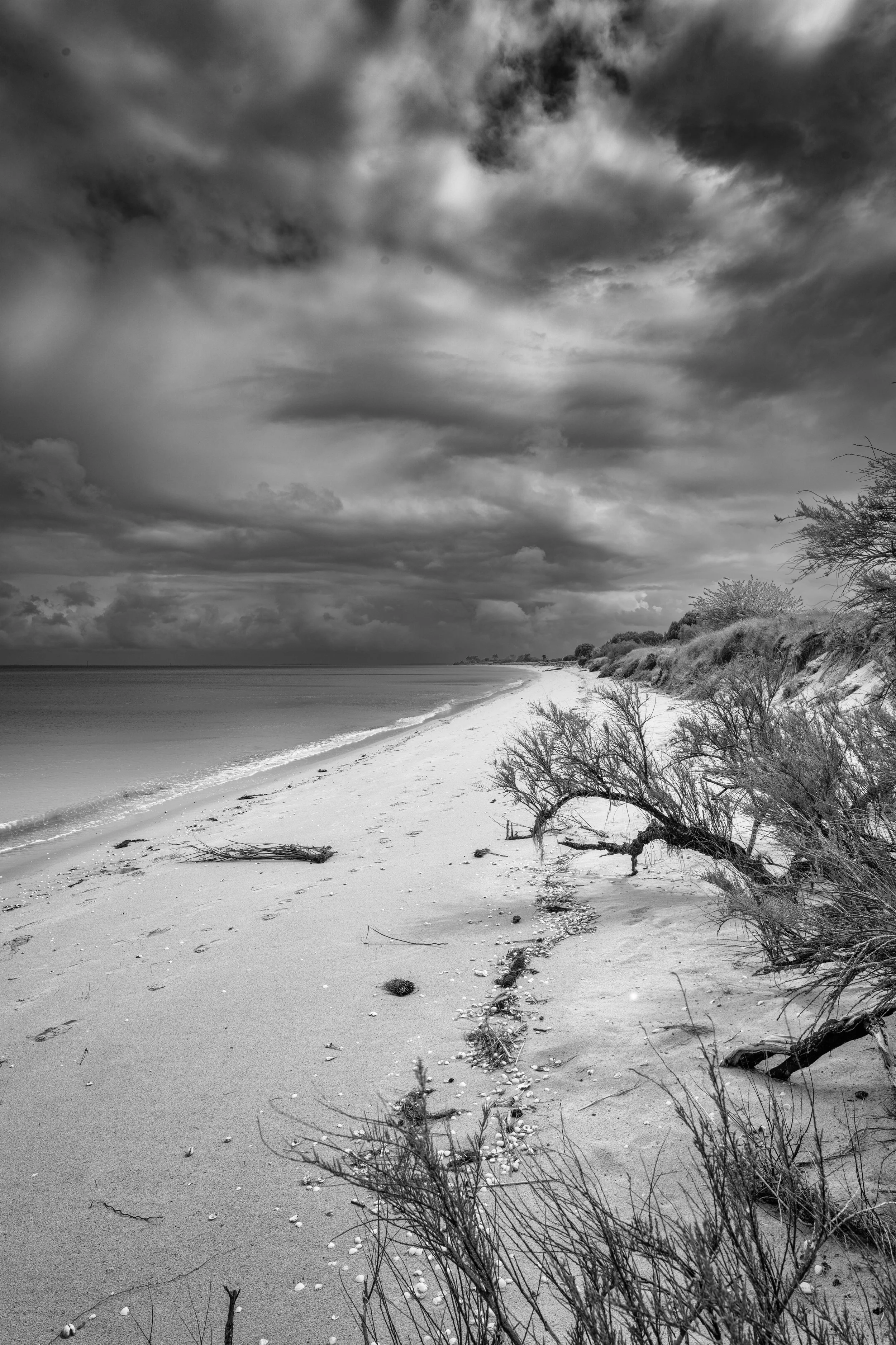 Oléron 2024-05 paysages B&W-13.jpg