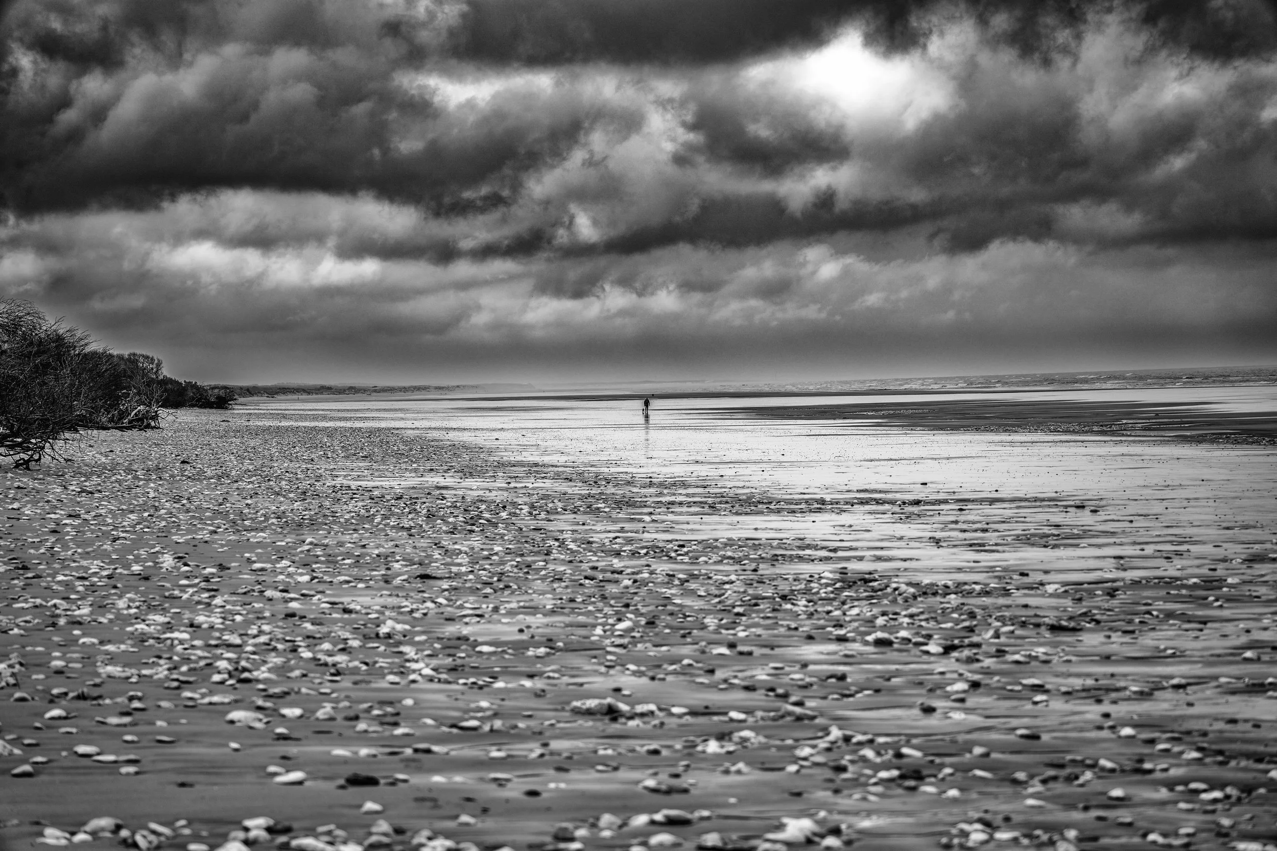 Oléron 2024-05 paysages B&W-19.jpg