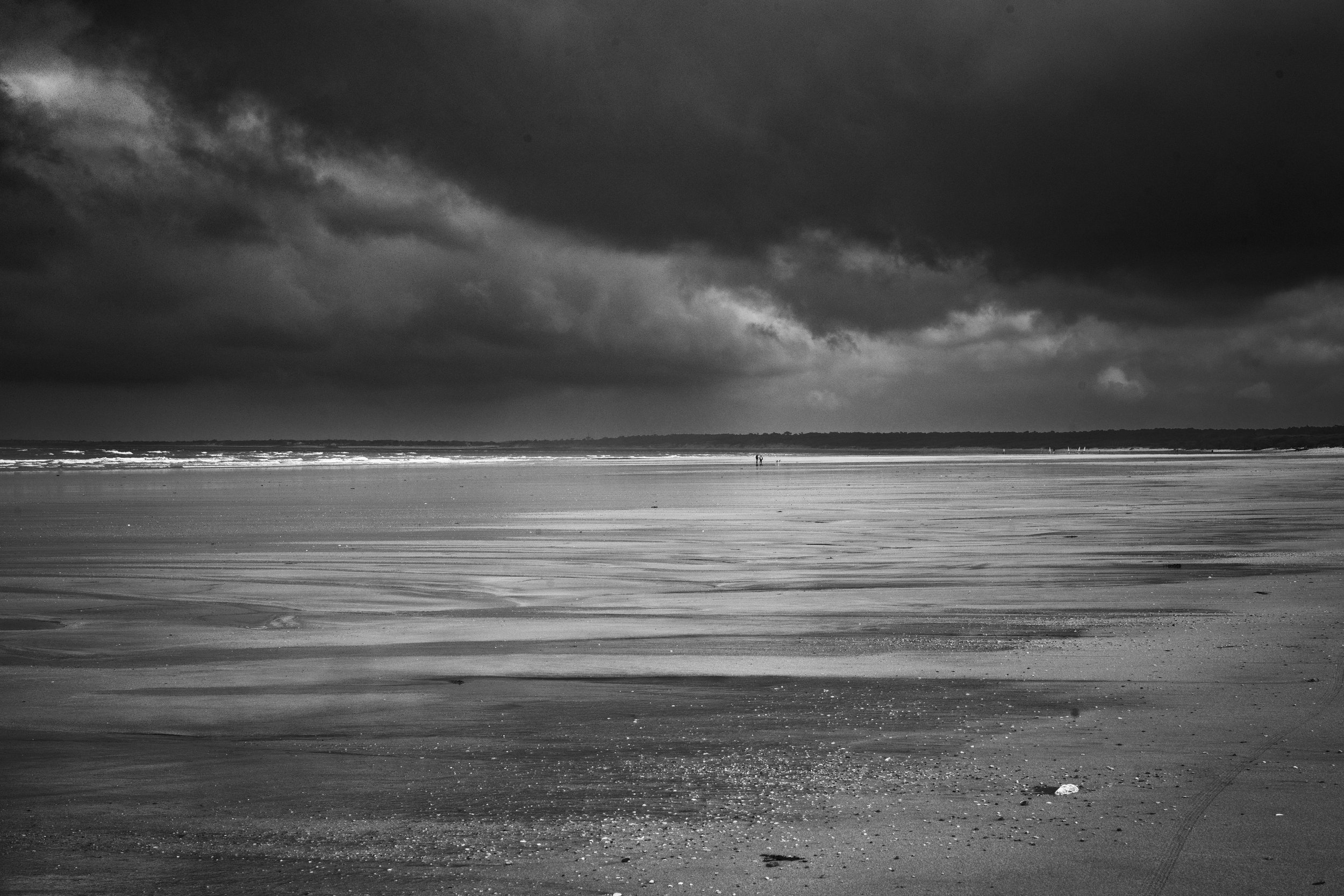Oléron 2024-05 paysages B&W-20.jpg