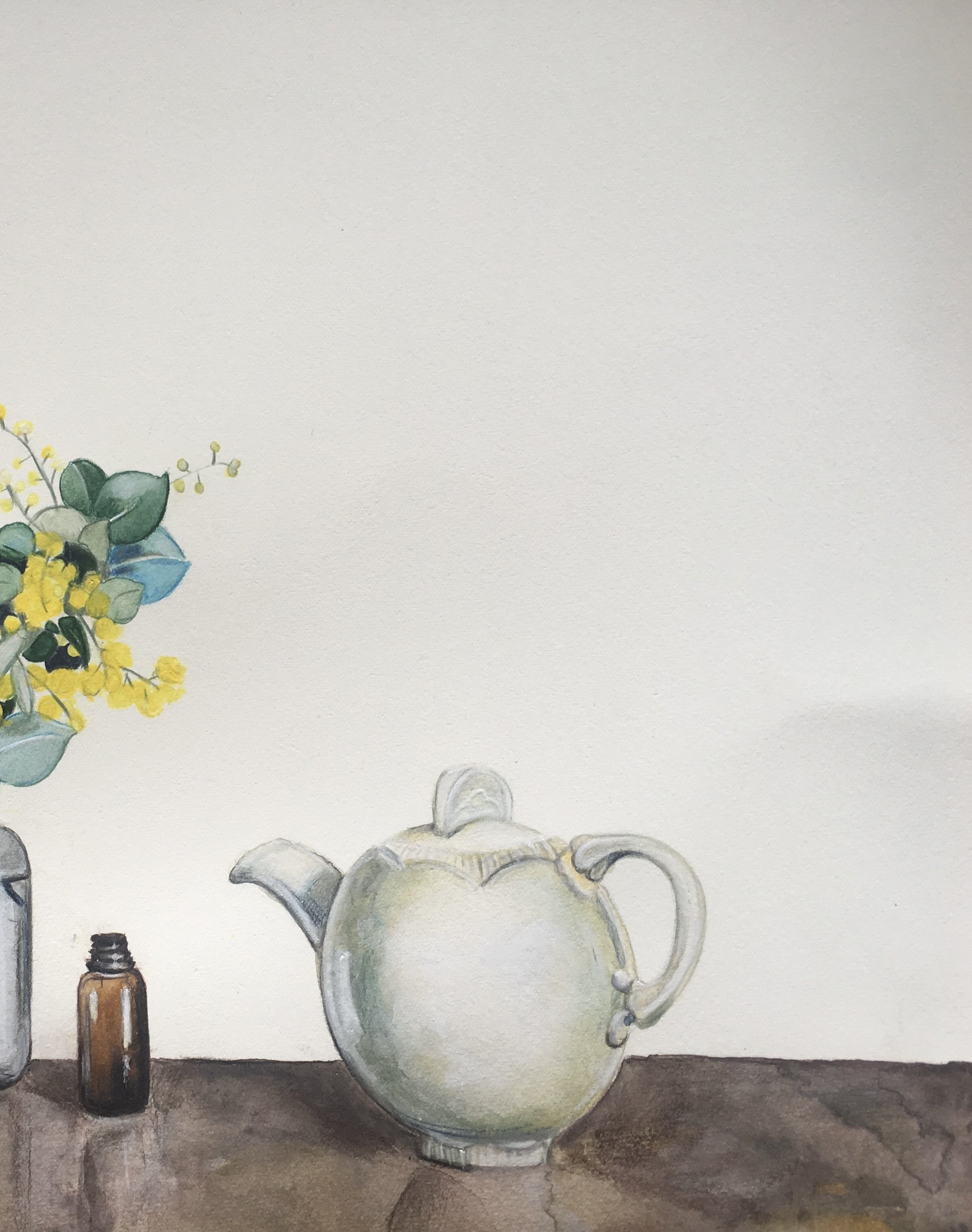 Clarice With Sadler Jug And Wattle 3.jpg