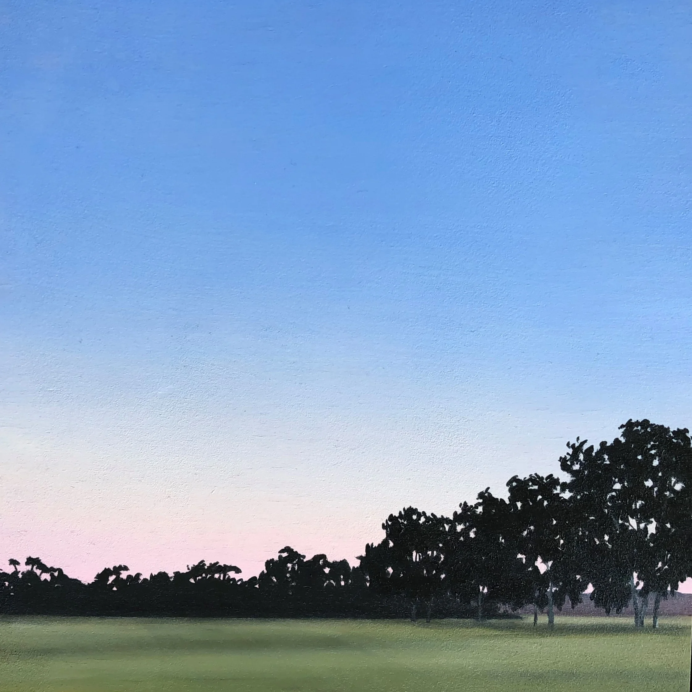 Pink and Blue Sky 2017 20x20 oil on birch board unframed.jpg