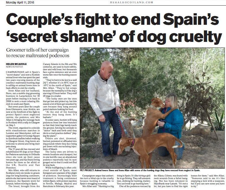 HopeForPodencos-HeraldScotlandCom_110416.jpg